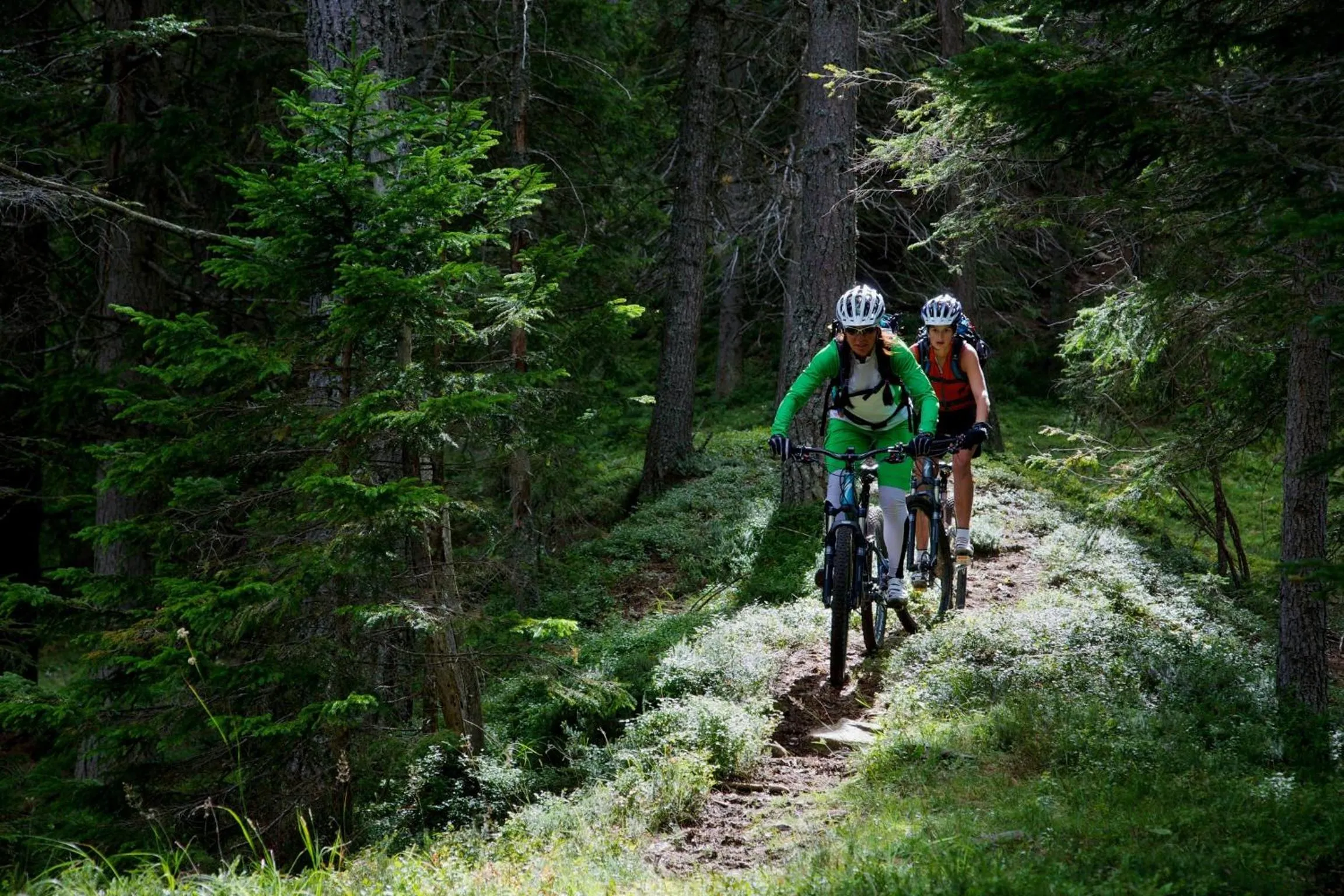 Day in Hotel Regglbergerhof