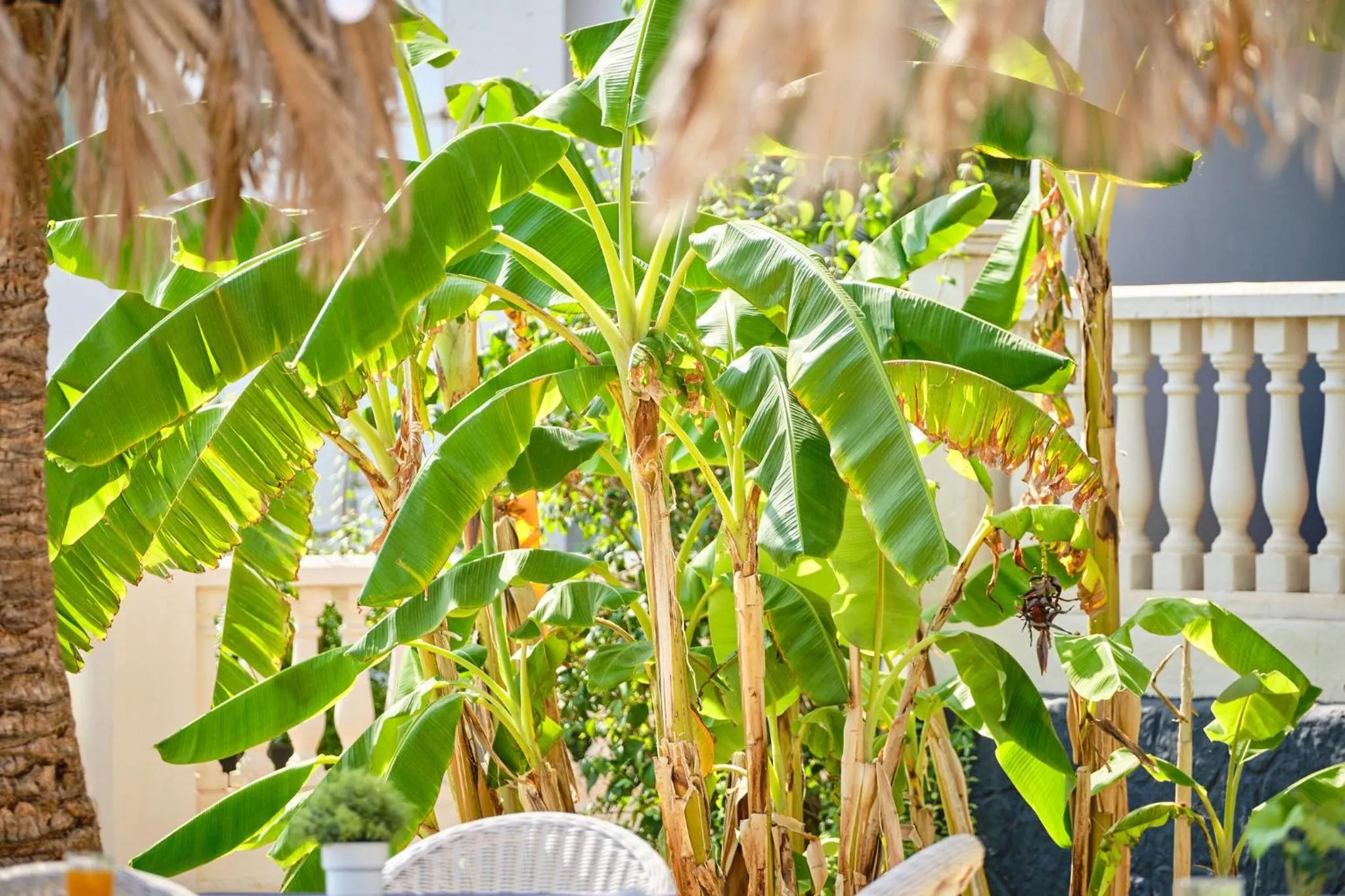 Hotel Boutique Bon Repos - Adults Only