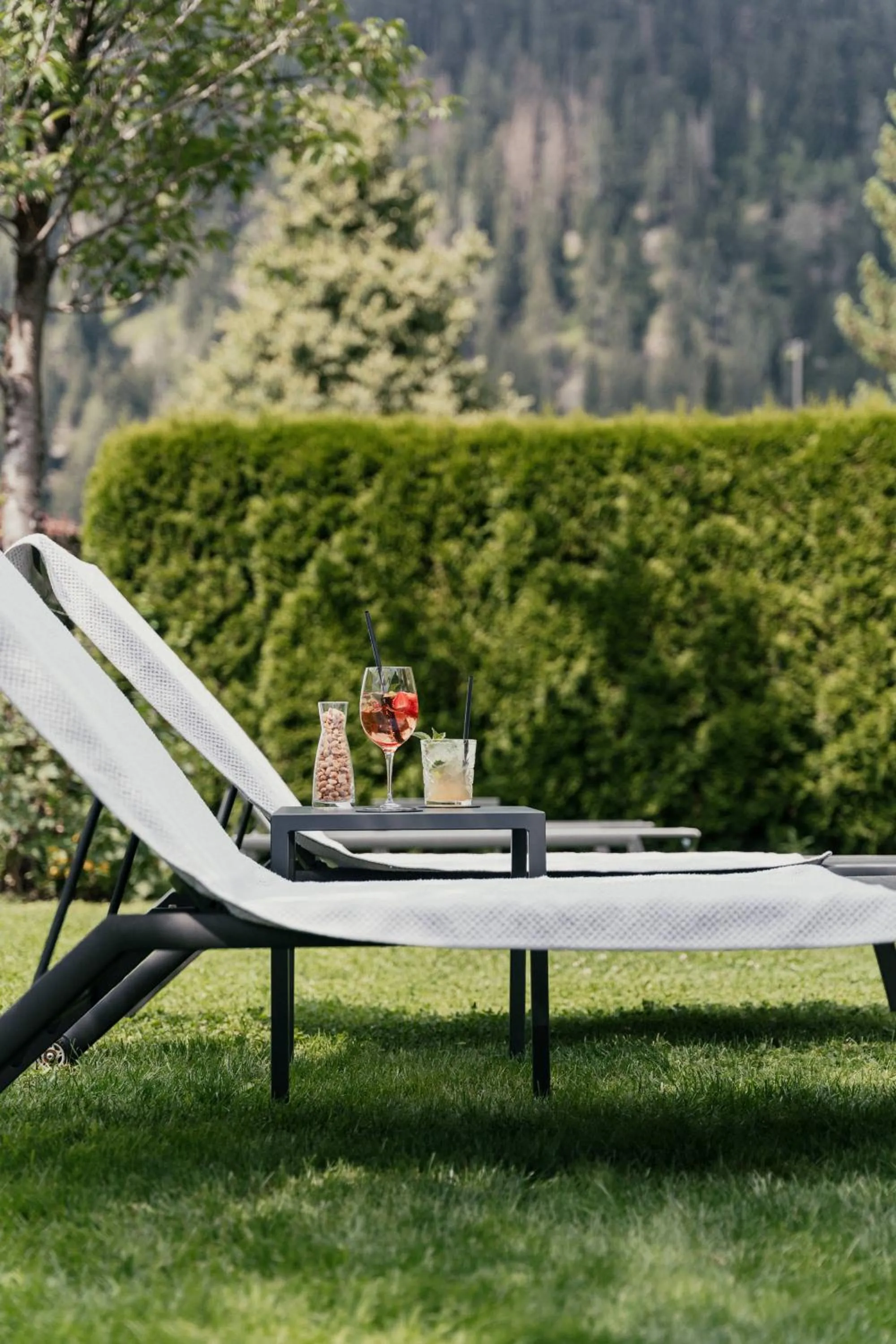 Garden in Hotel WH - Wiesnerhof