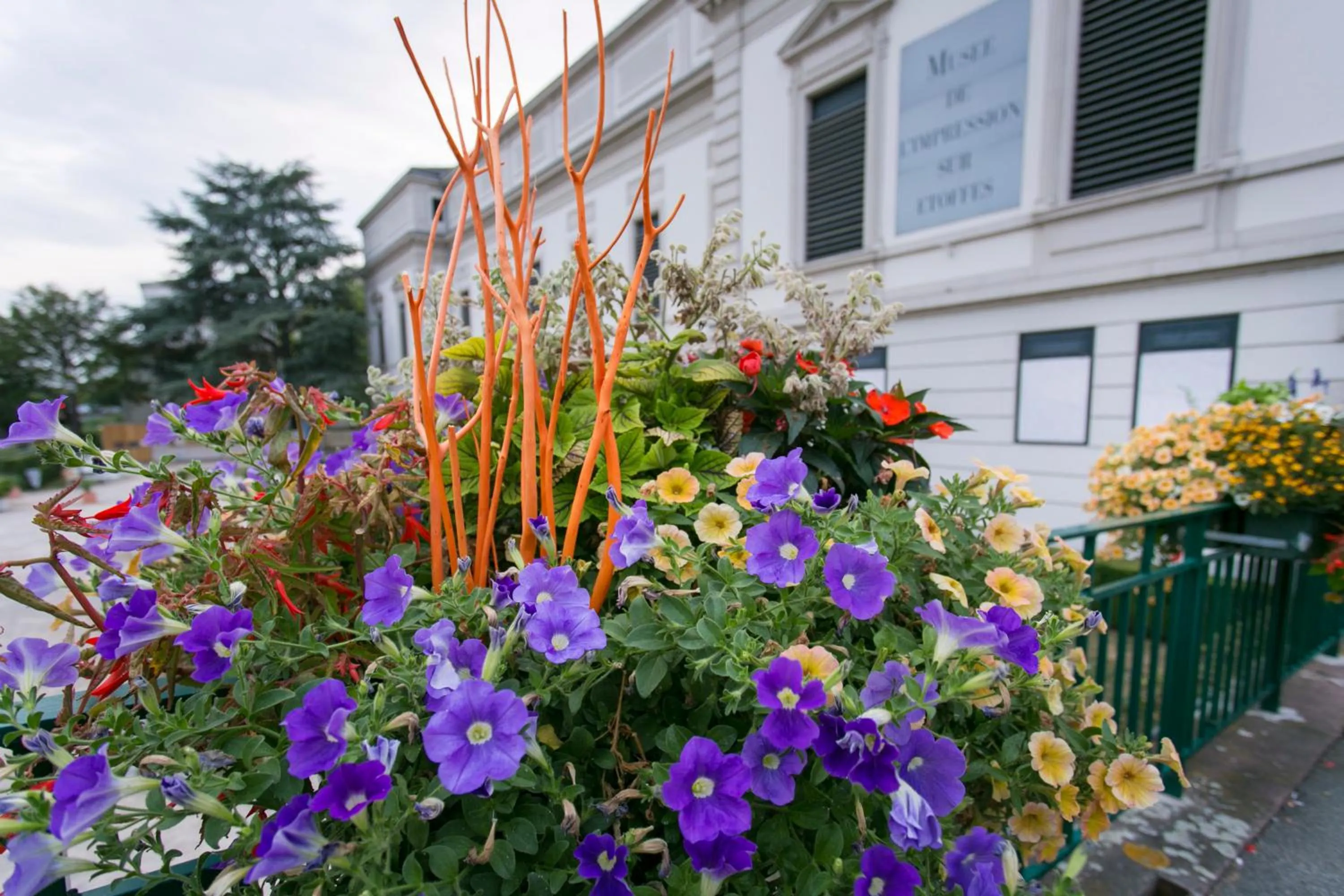 Entertainment in Zenao Appart'hôtels Mulhouse