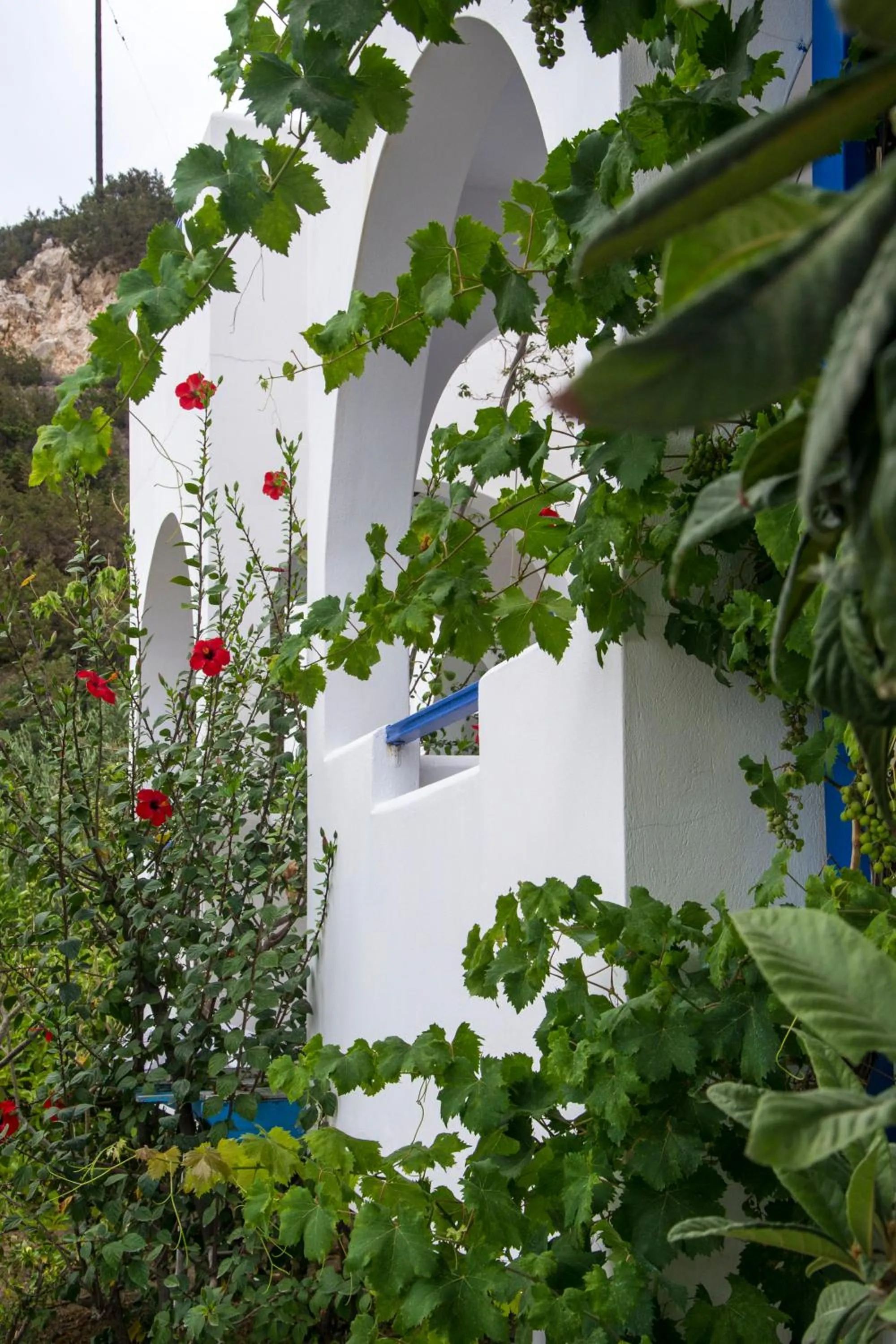 Vardes Hotel Studios