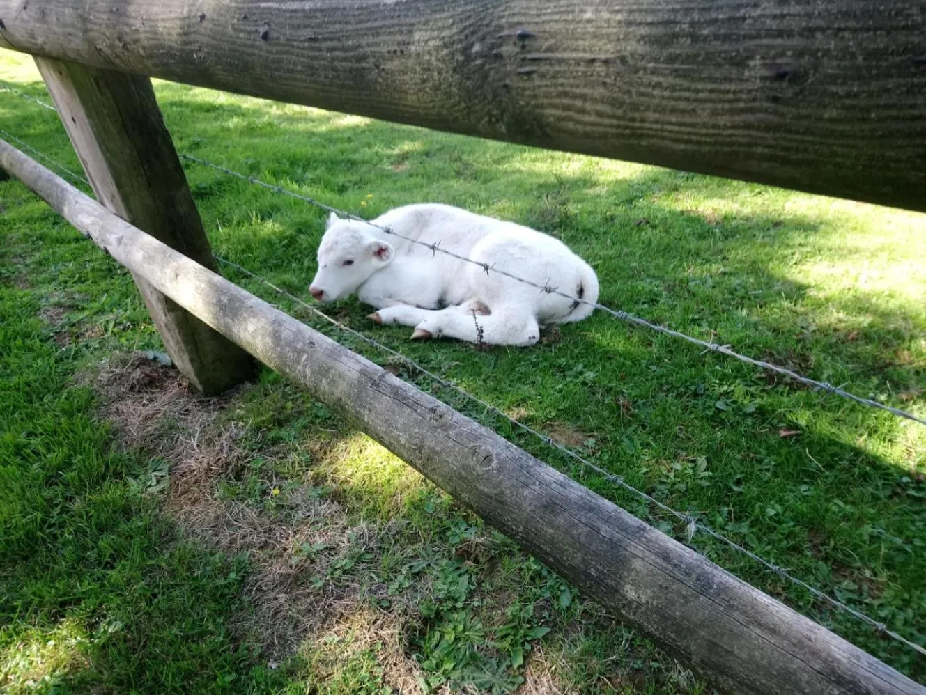 La Mare aux 3 Diables