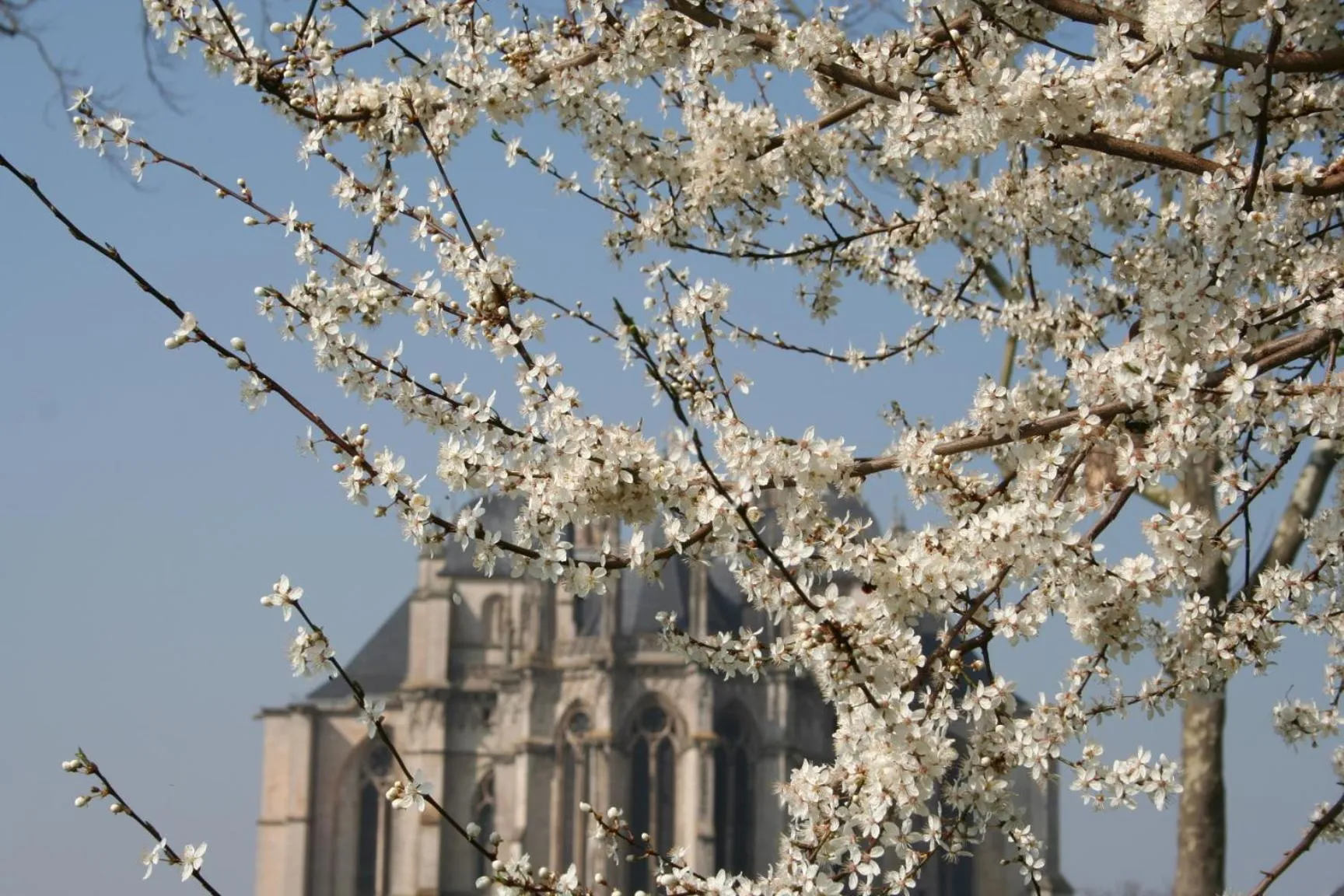 Spring in Hôtel La Villa Lorraine