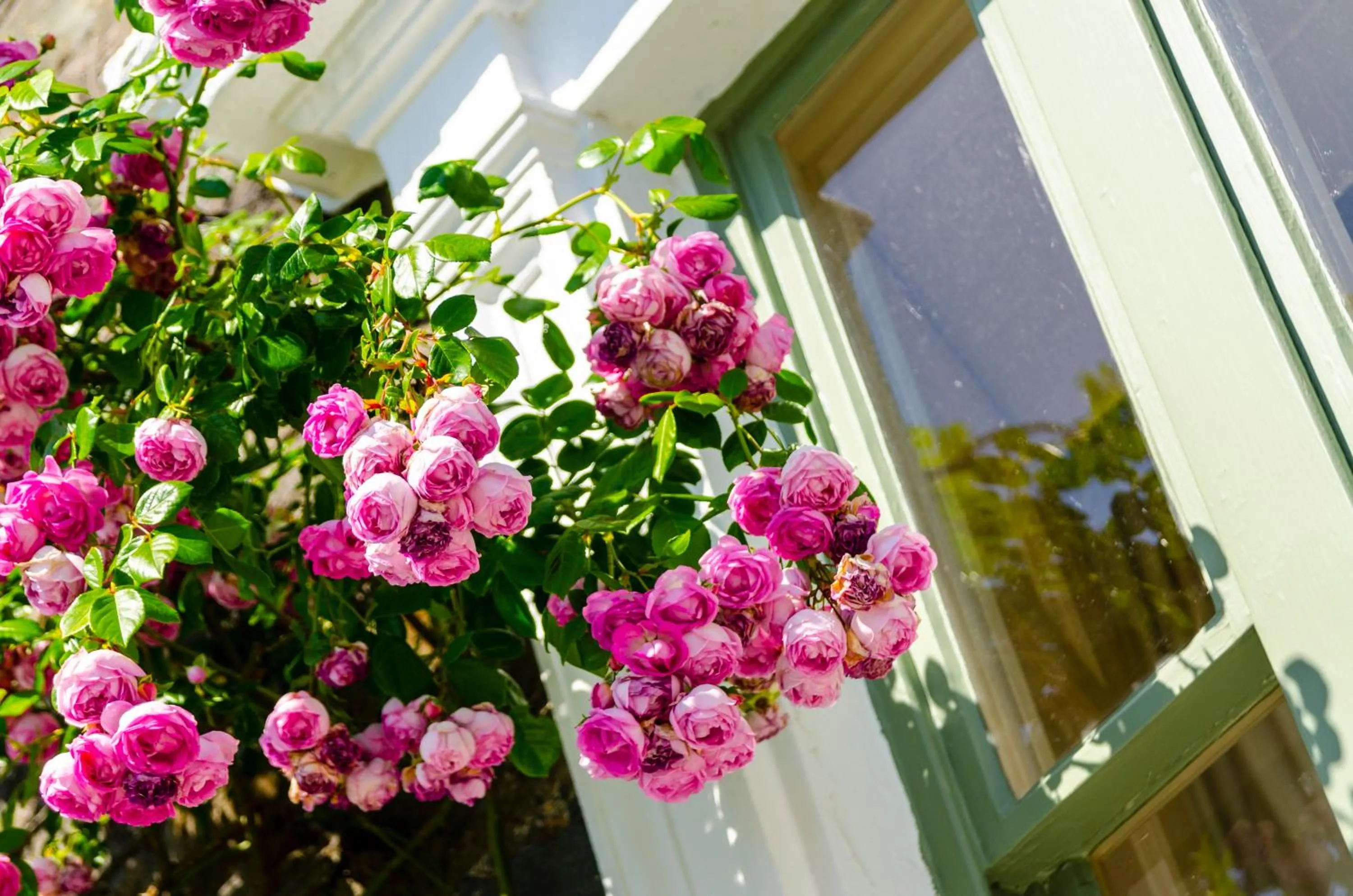 Decorative detail in Eltermere Inn