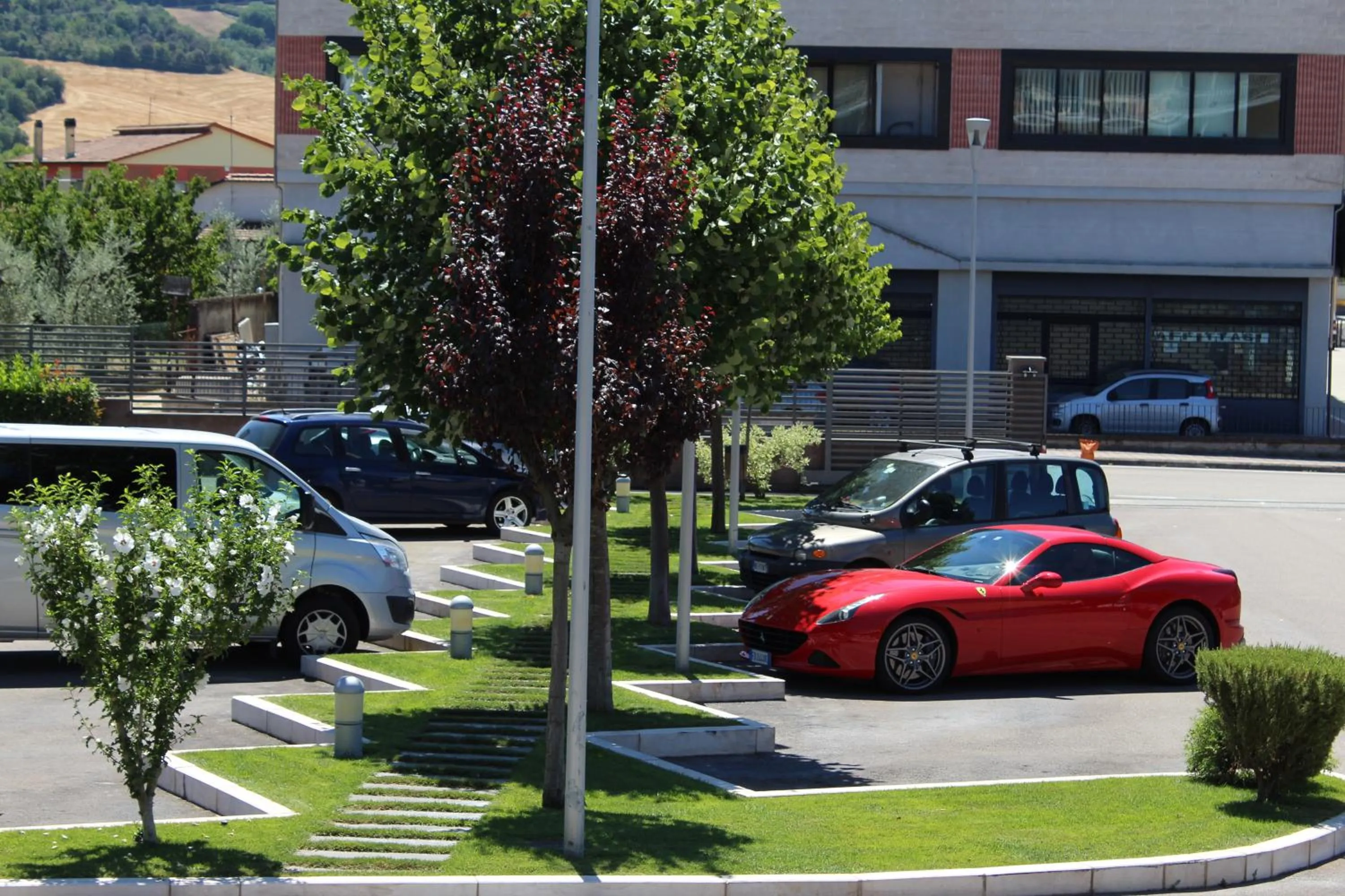 Garden in Hotel Aquila