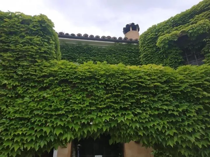 Property building in Hotel La Posada de Lalola