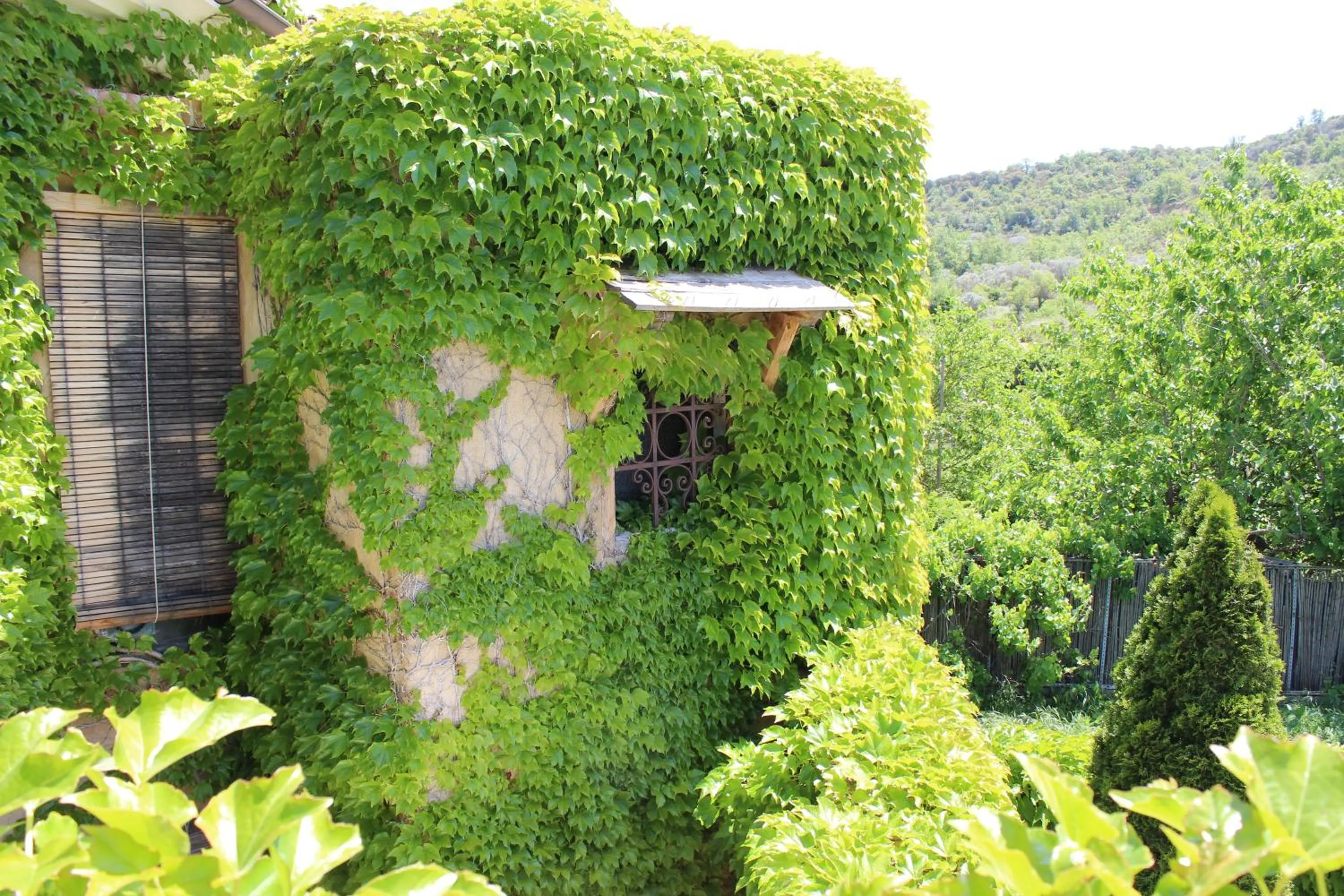 Garden in Hotel La Posada de Lalola