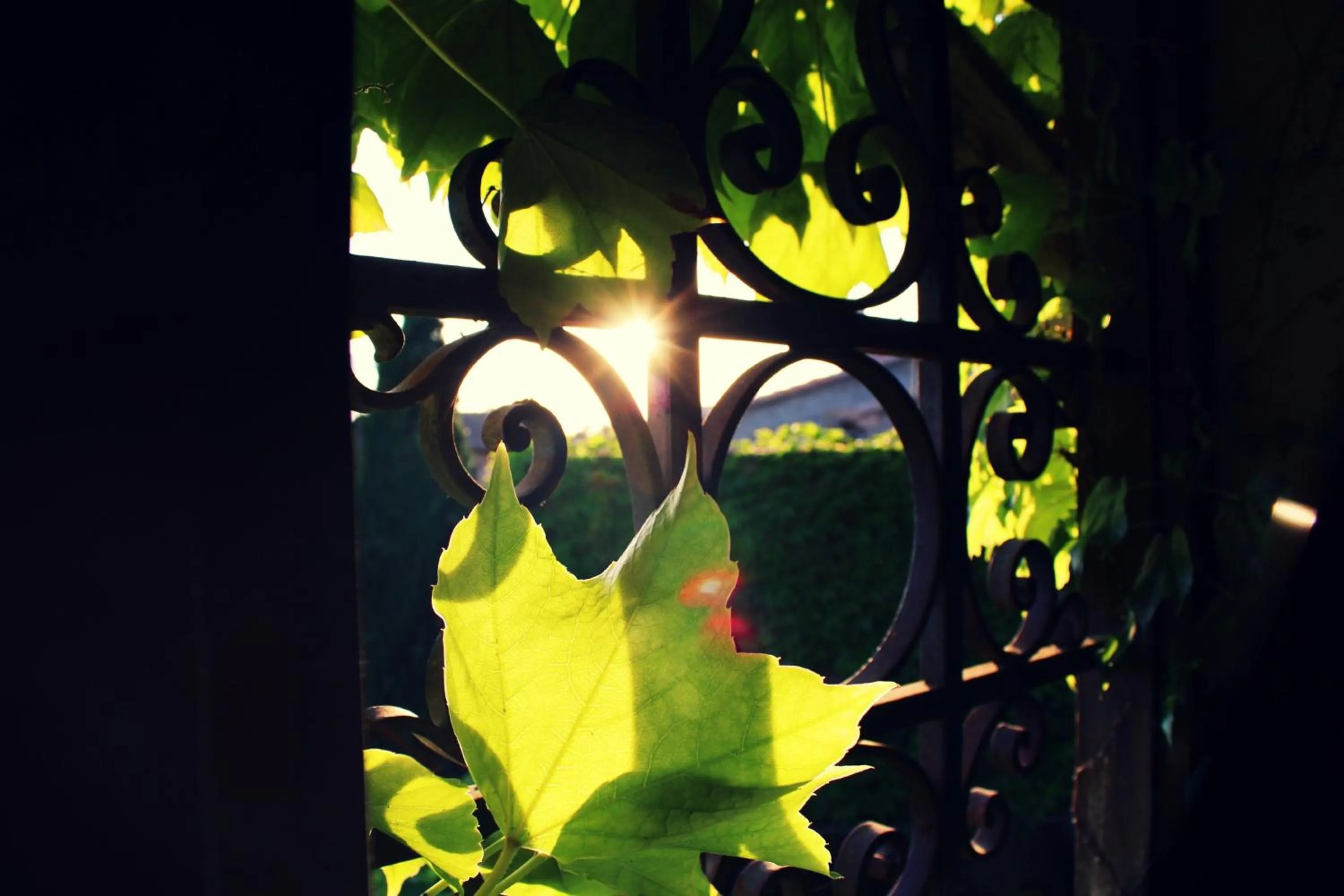 Area and facilities in Hotel La Posada de Lalola