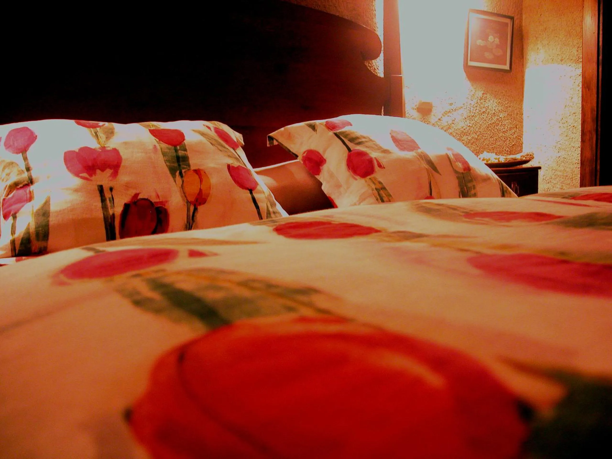 Photo of the whole room, Bed in Hotel La Posada de Lalola