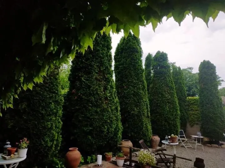 Patio in Hotel La Posada de Lalola