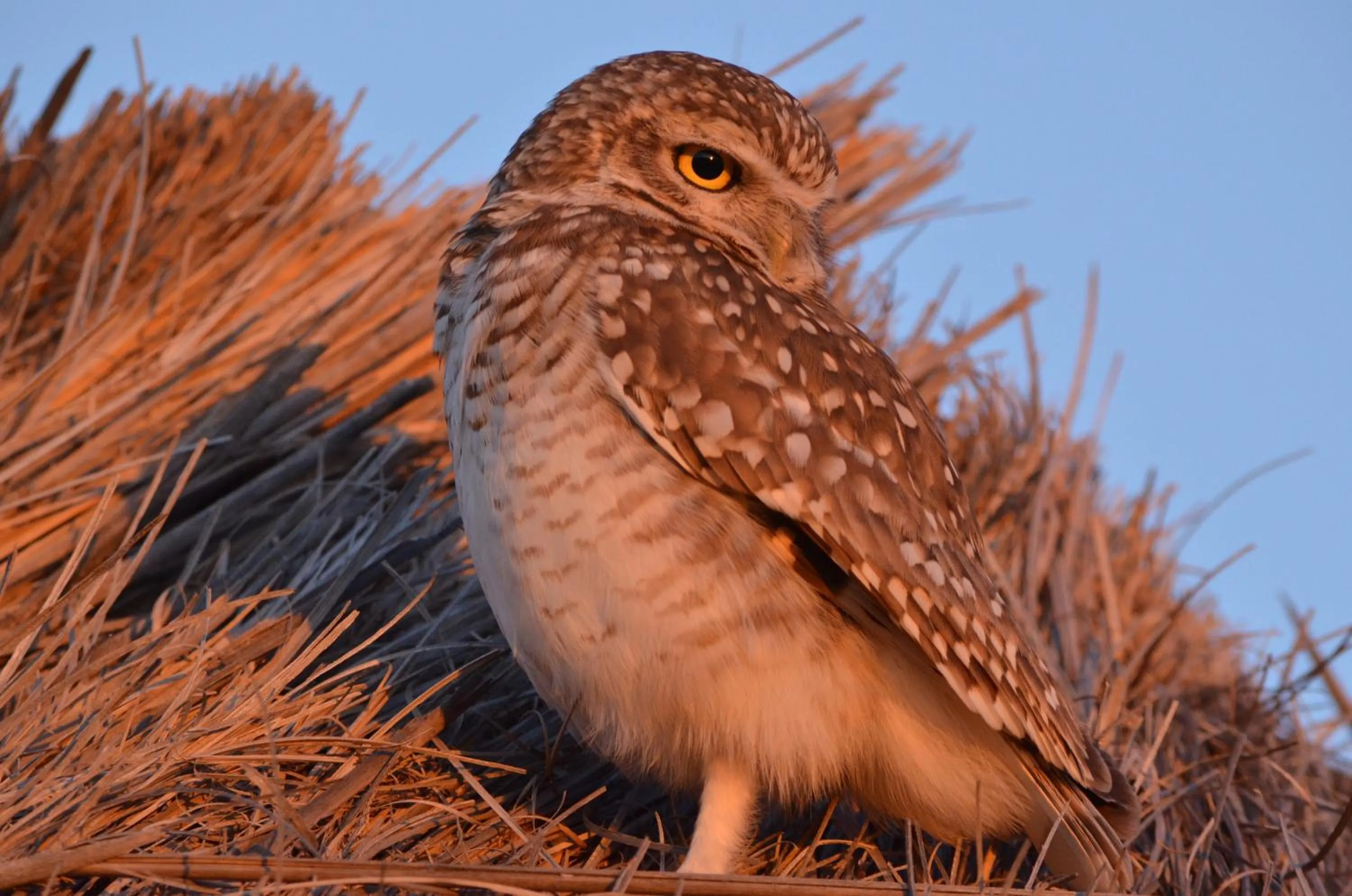 Off site in Howard Johnson Resort Spa & Convention Center