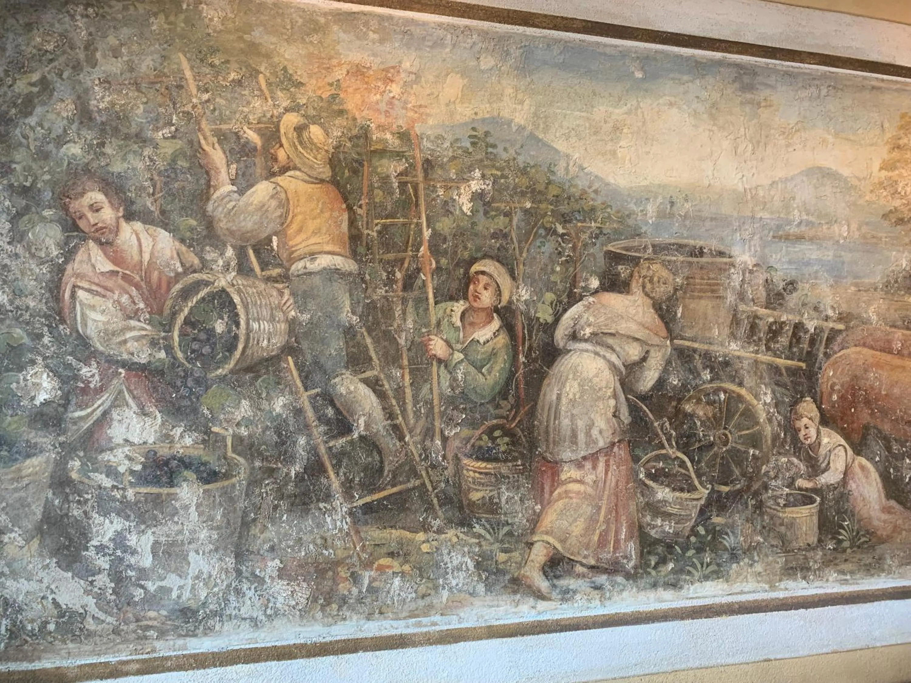 Restaurant/places to eat in Pernice 77