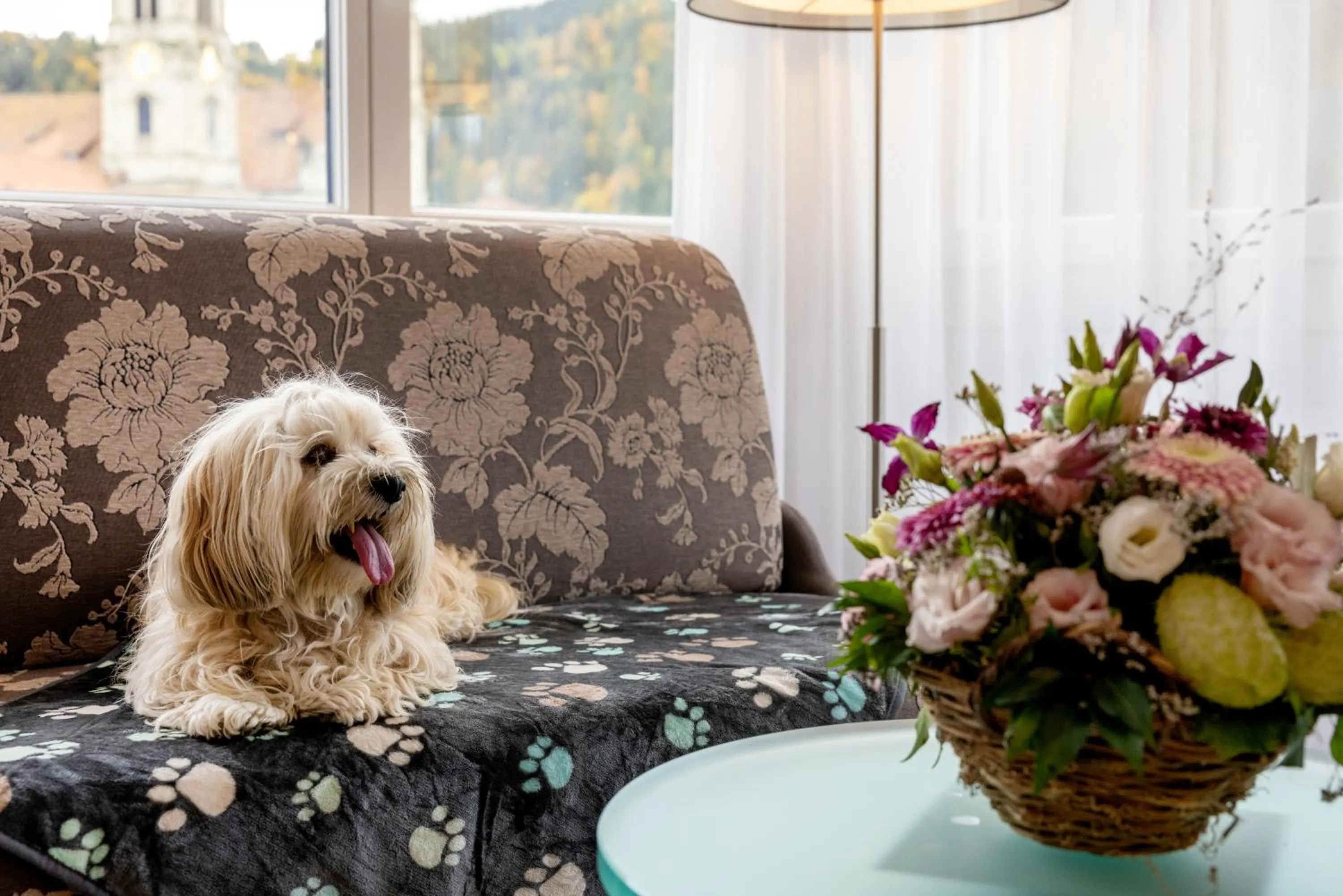 Pets in Hotel Drei Könige