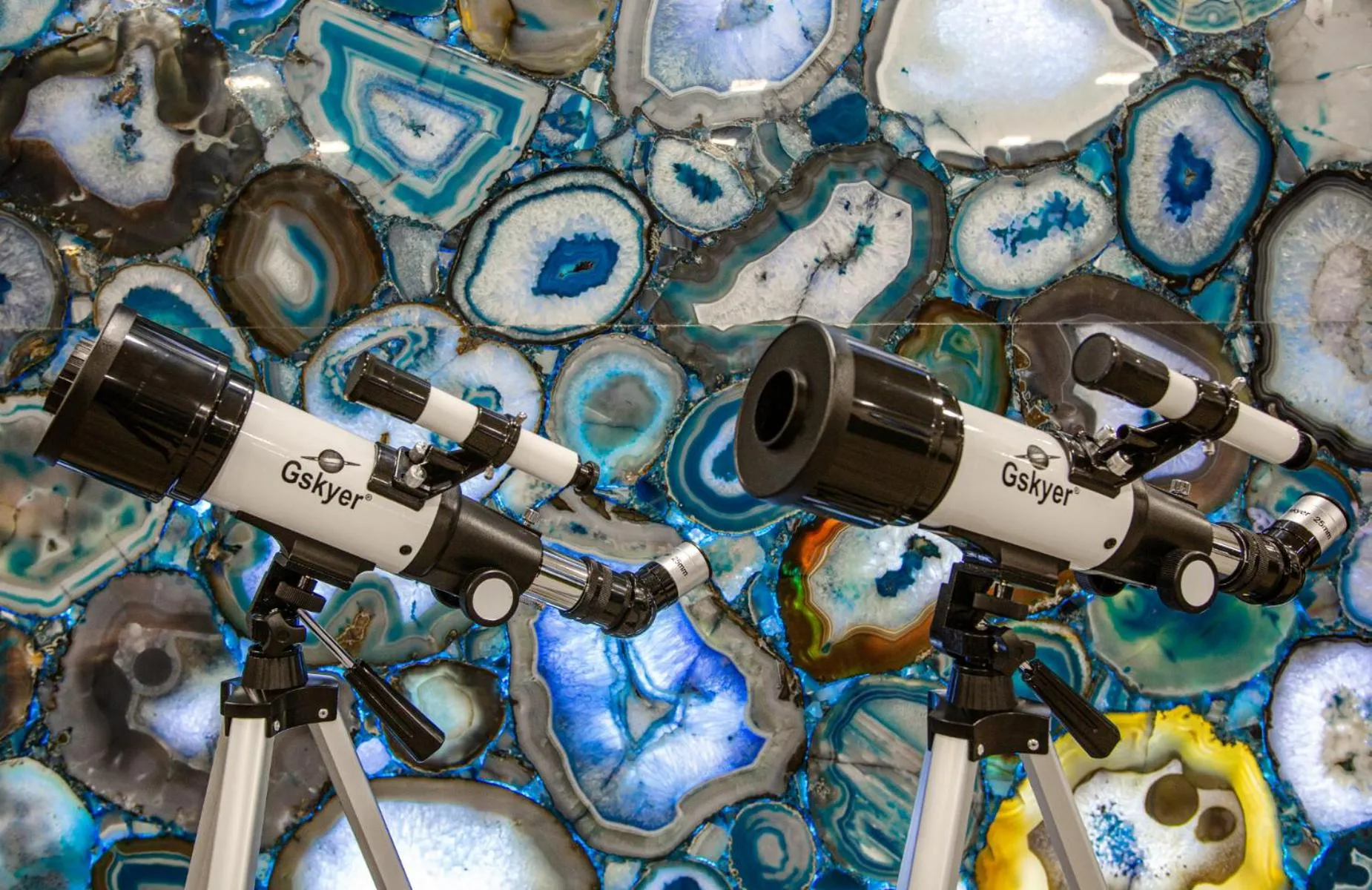 Activities in Hotel Elev8 Flagstaff, Trademark Collection by Wyndham