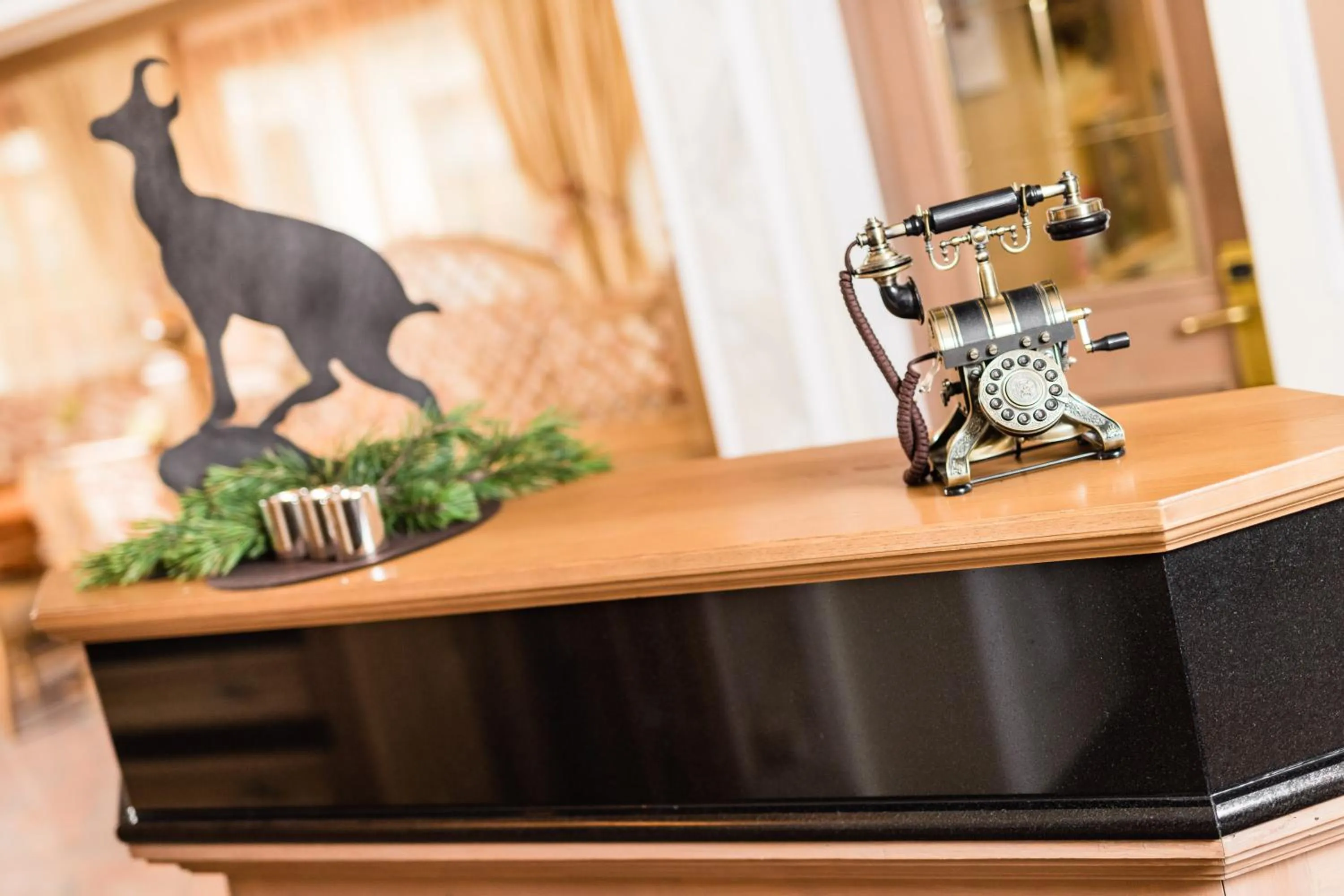 Lobby or reception in Romantik & Family Hotel Gardenia***S