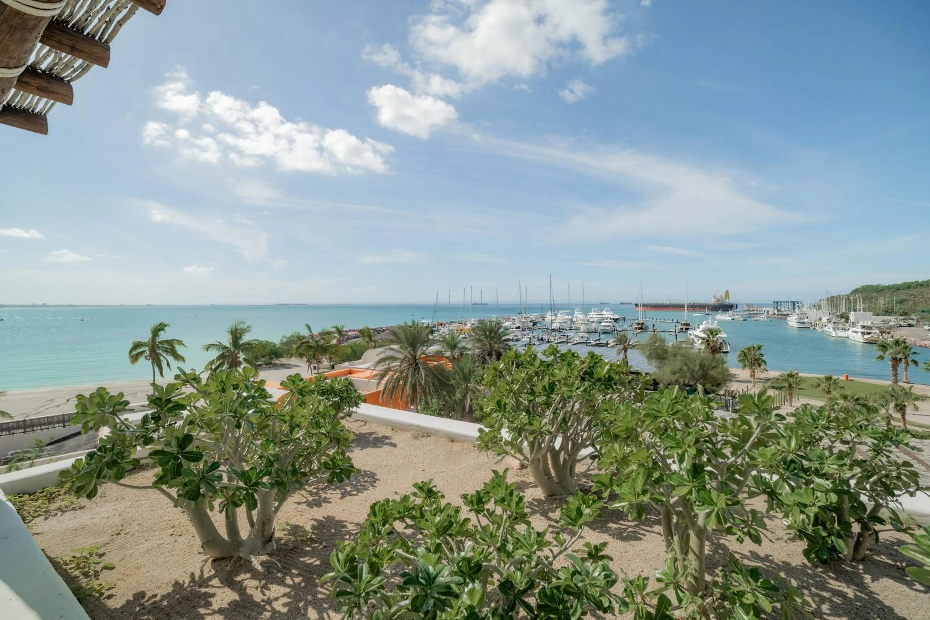 Photo of the whole room in Hotel Indigo La Paz Puerta Cortes by IHG