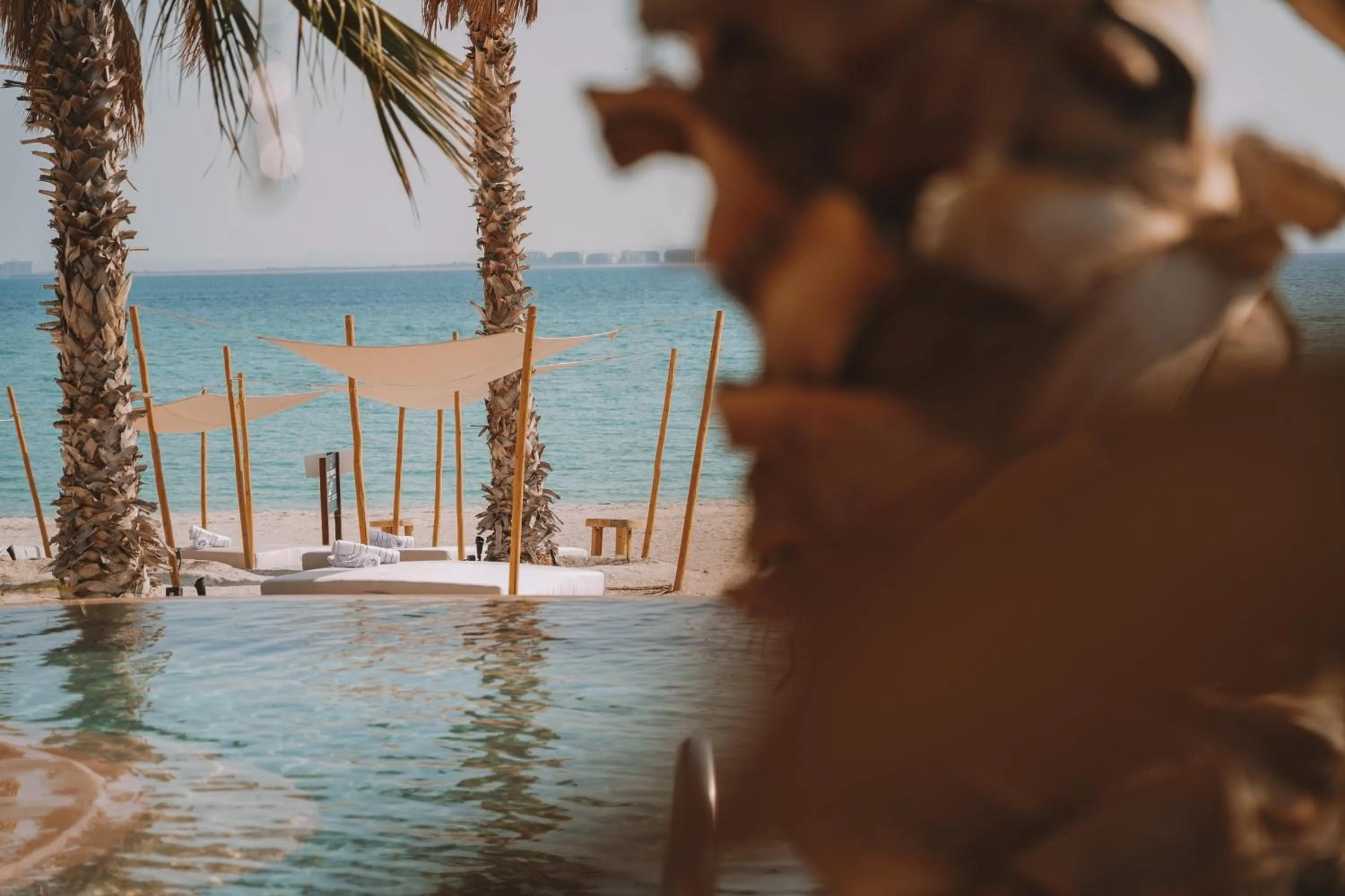 Beach in Costa Baja Resort & Spa