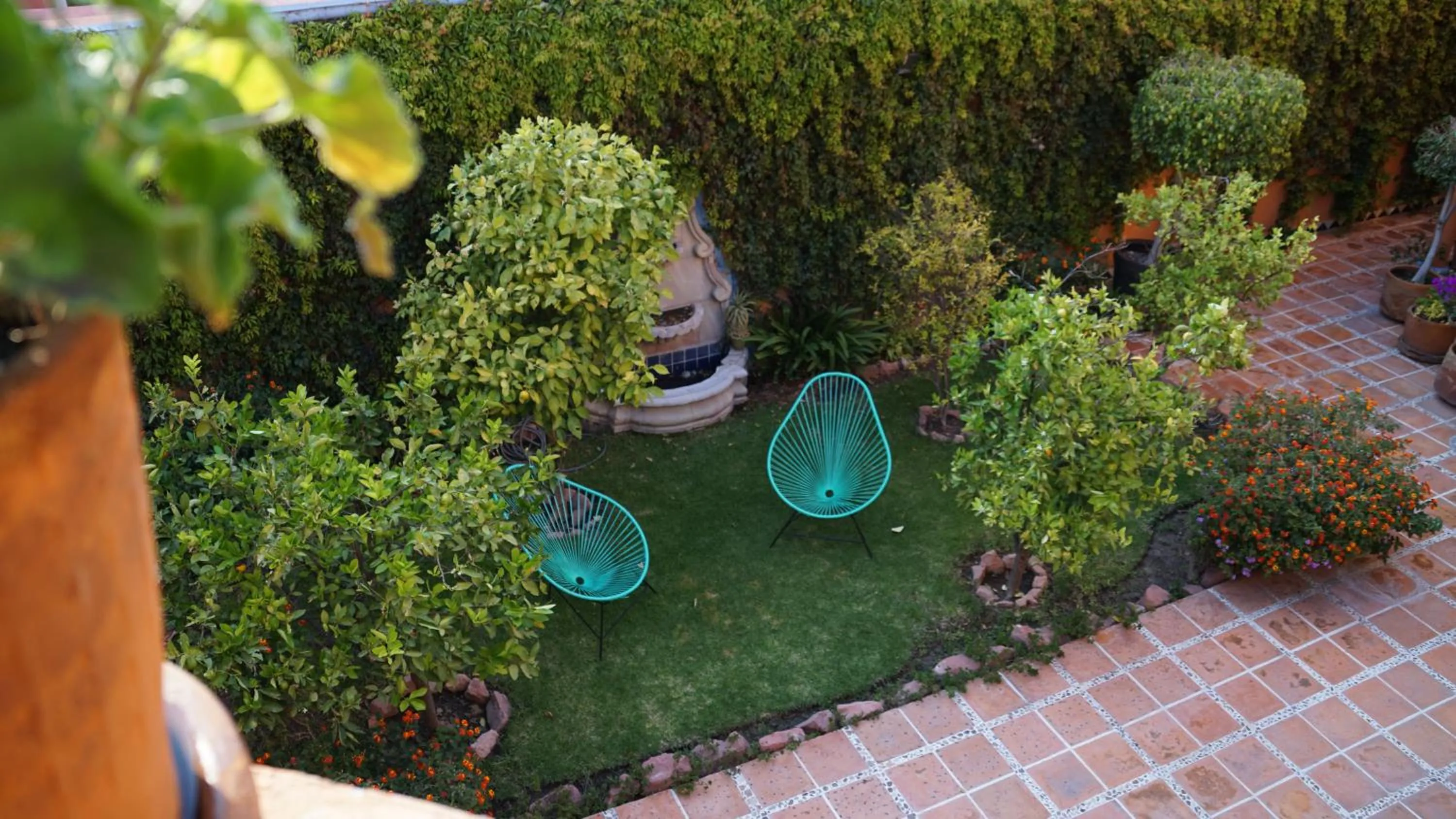 Garden in Casa Frida B&B