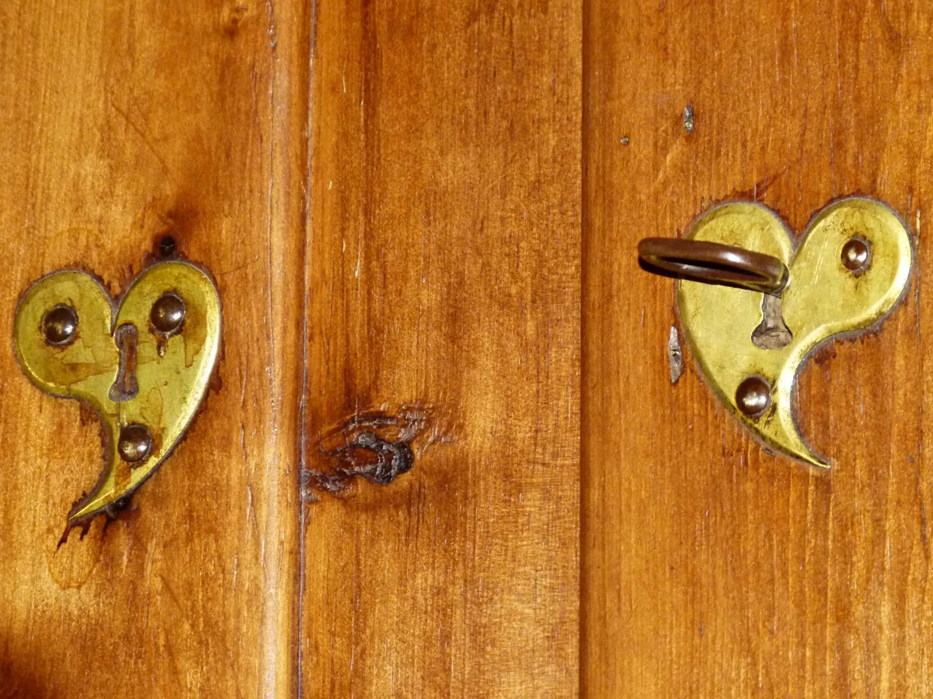 Decorative detail in La Canàoula