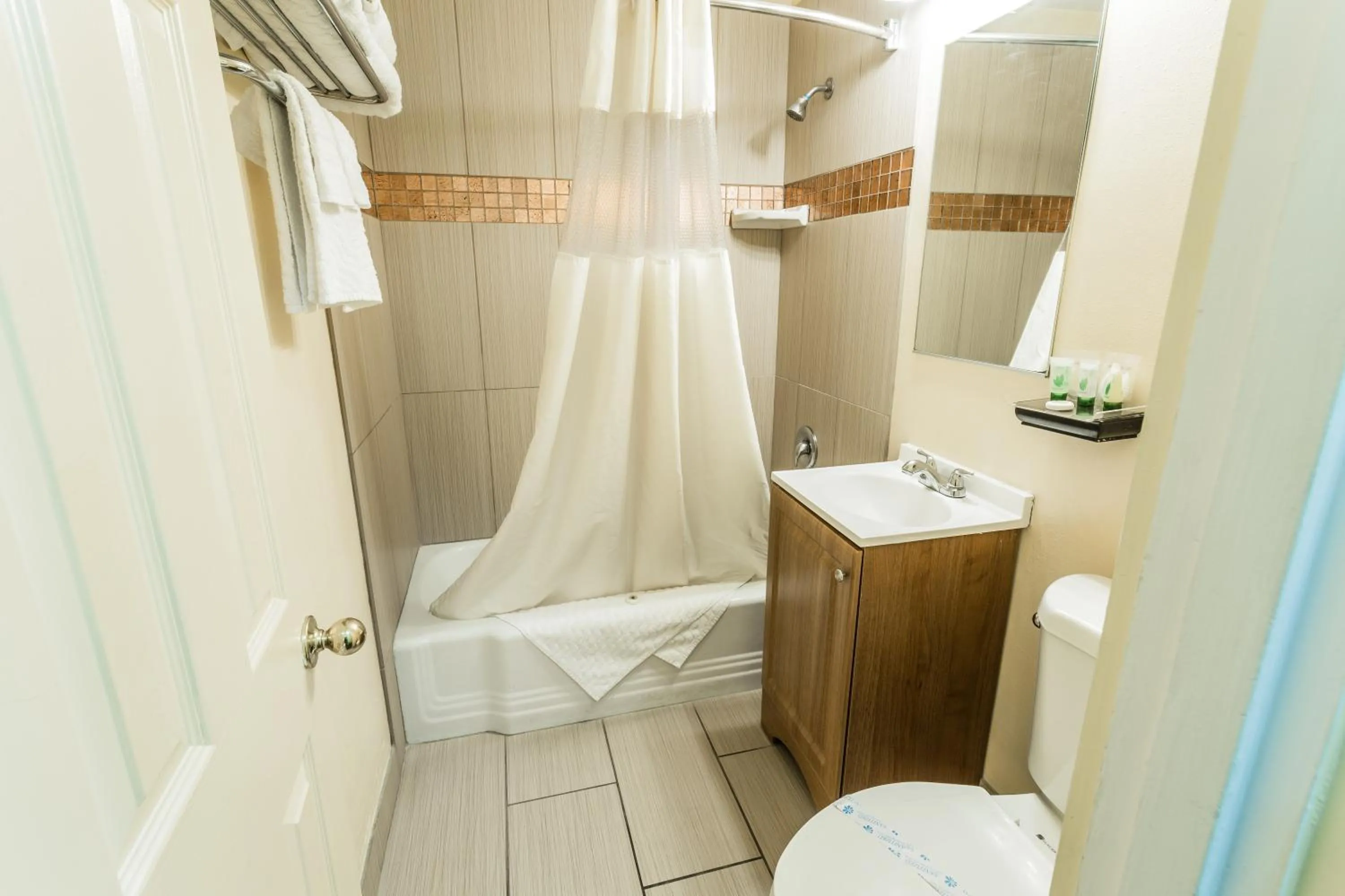 Bathroom in Budget Inn of America