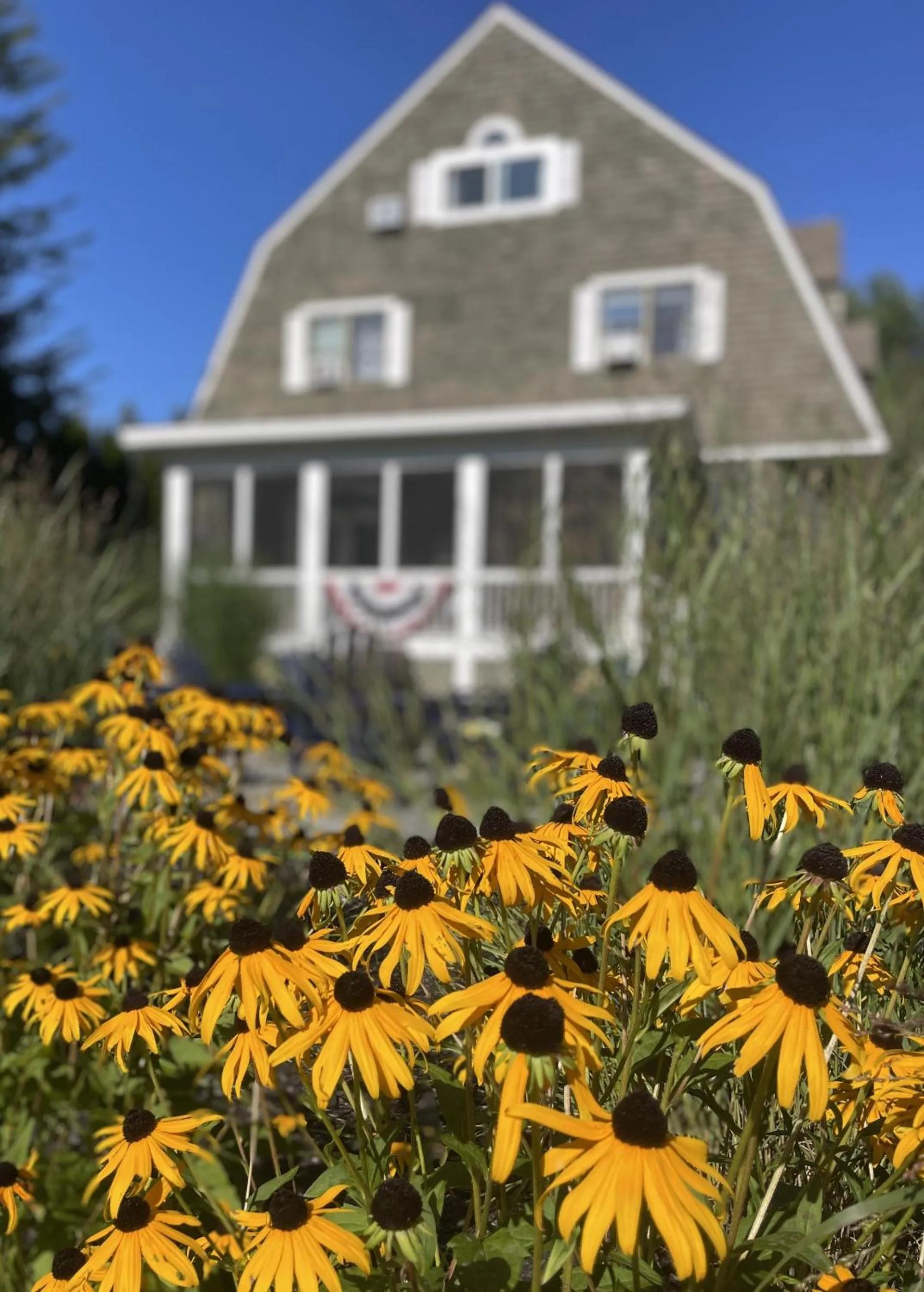 Garden in White Sails Inn