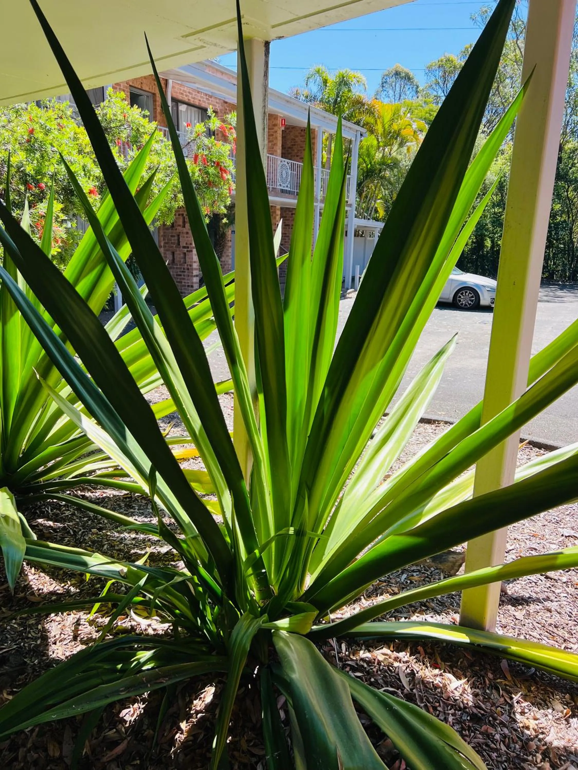 The Select Inn Gosford