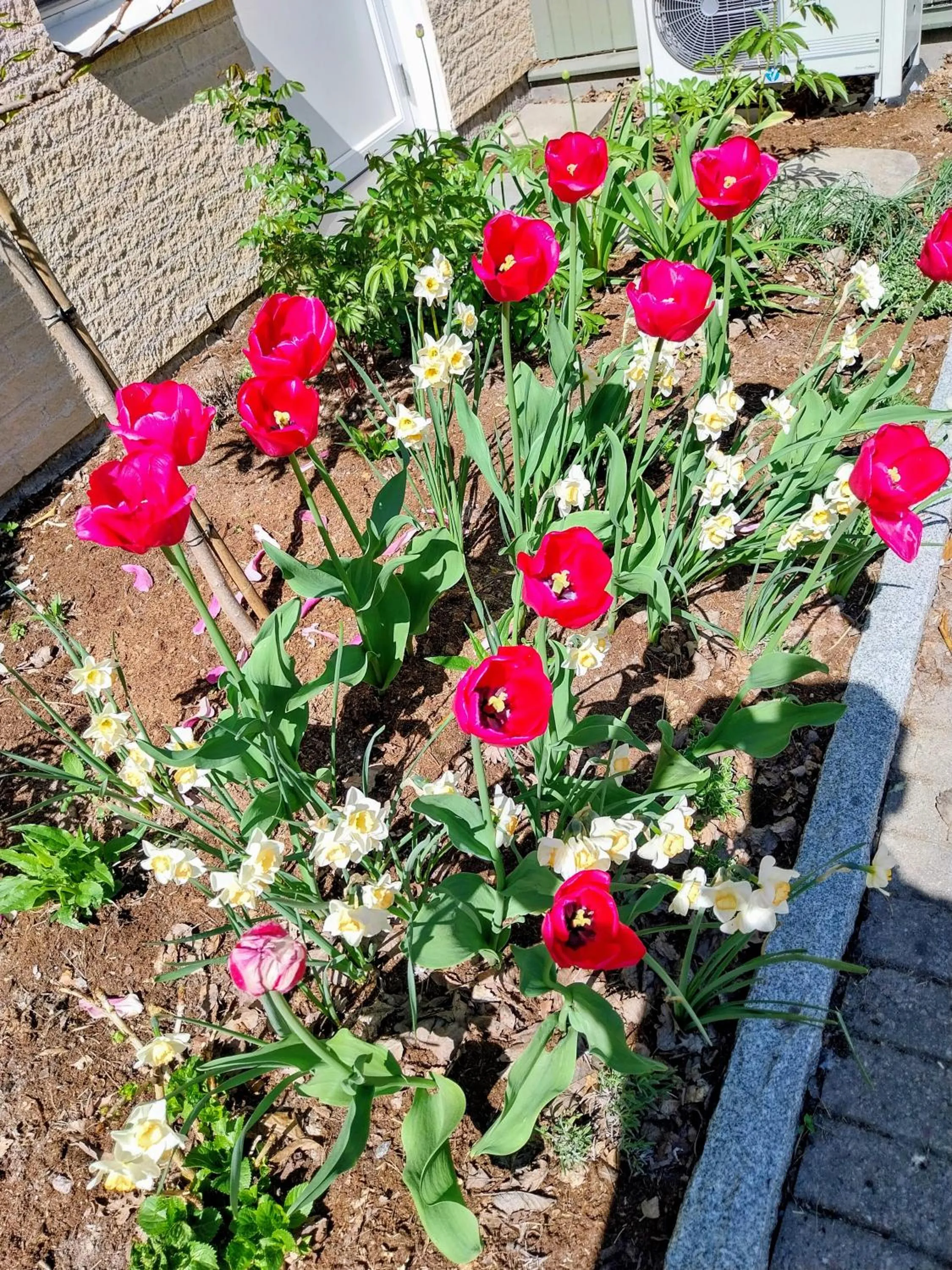 Garden in Best Western Hotel Danderyd