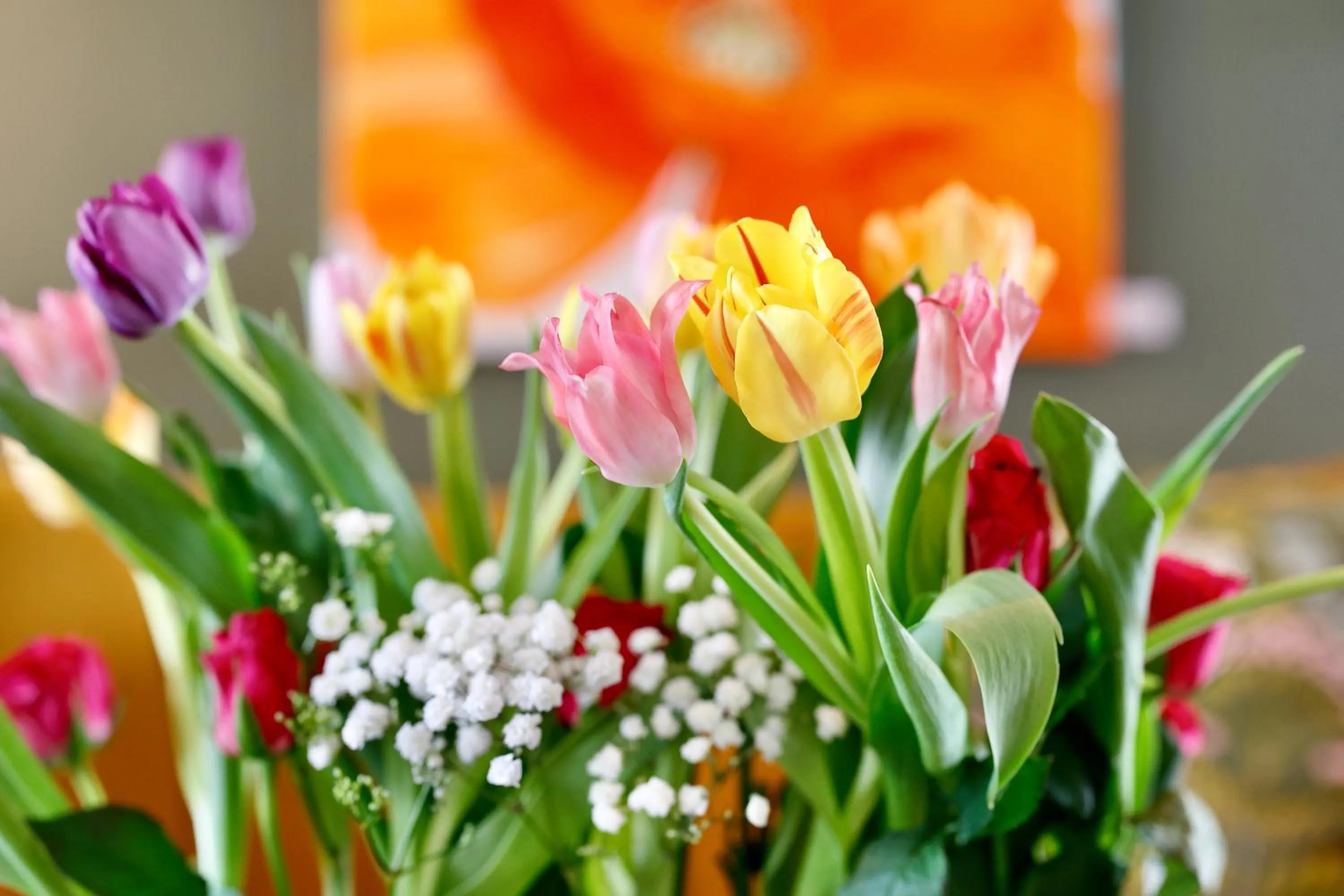 Garden view in Best Western Hotel Danderyd