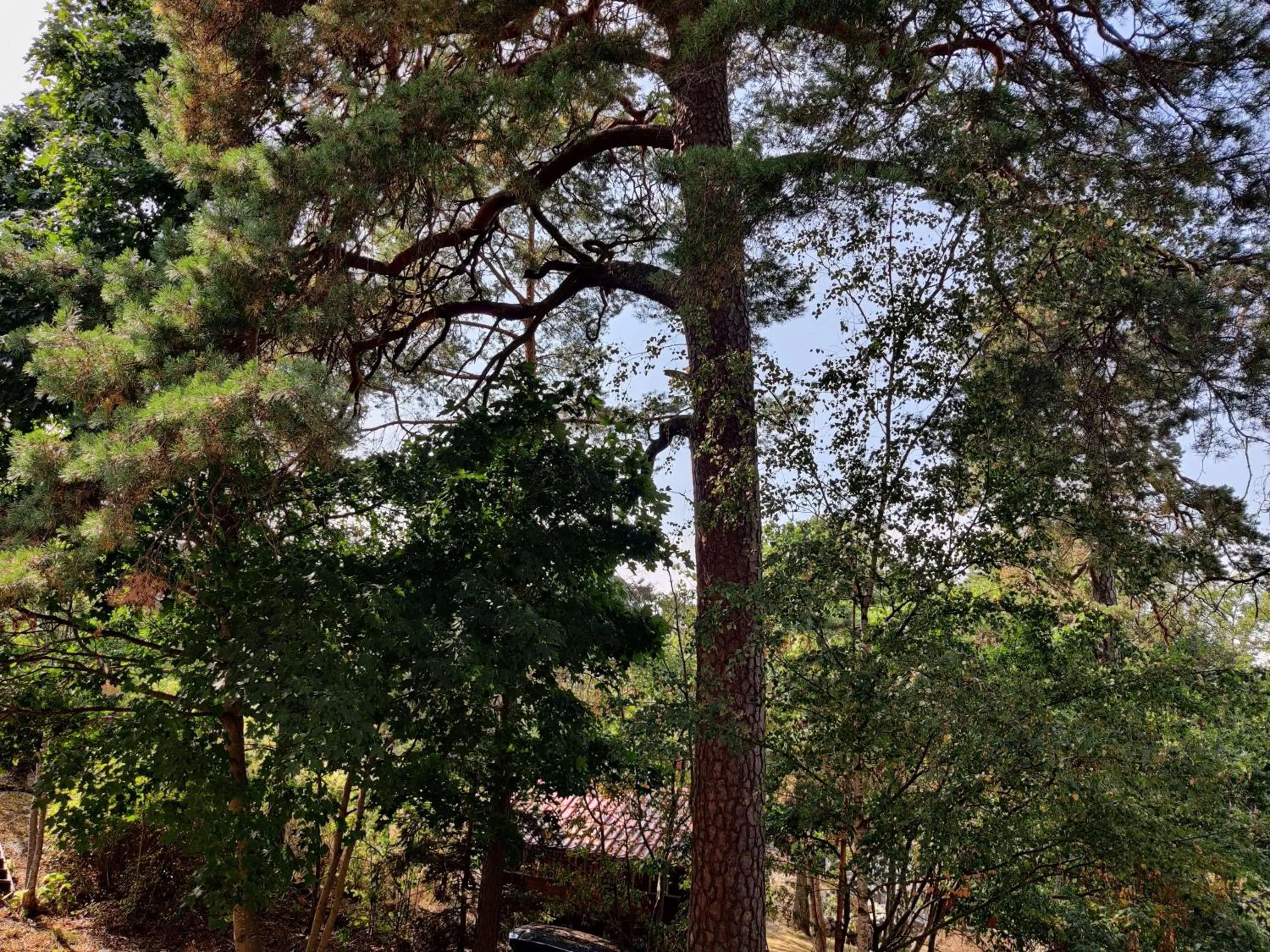 View (from property/room) in Best Western Hotel Danderyd