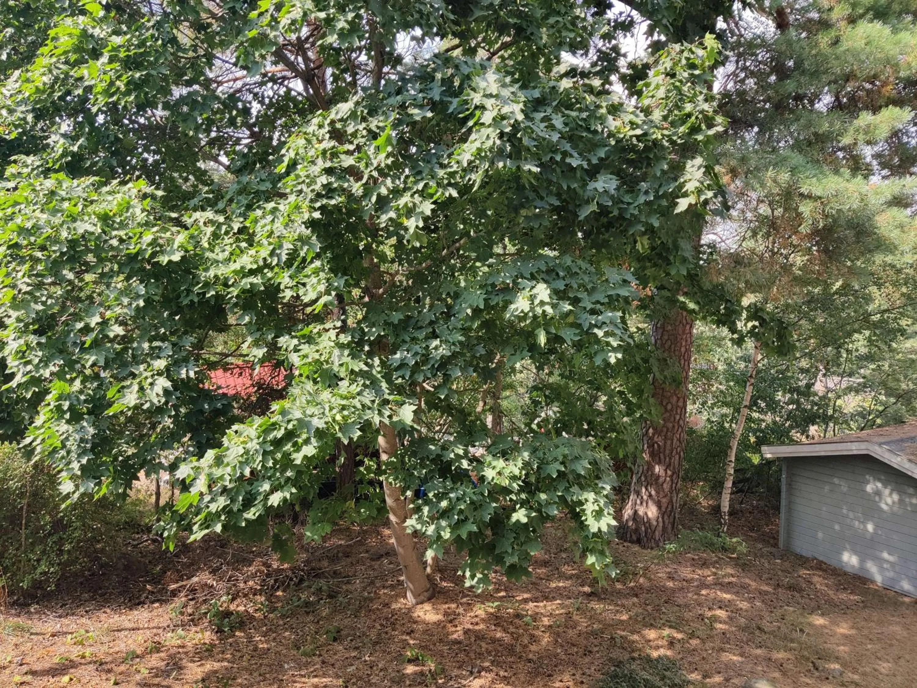 View (from property/room) in Best Western Hotel Danderyd