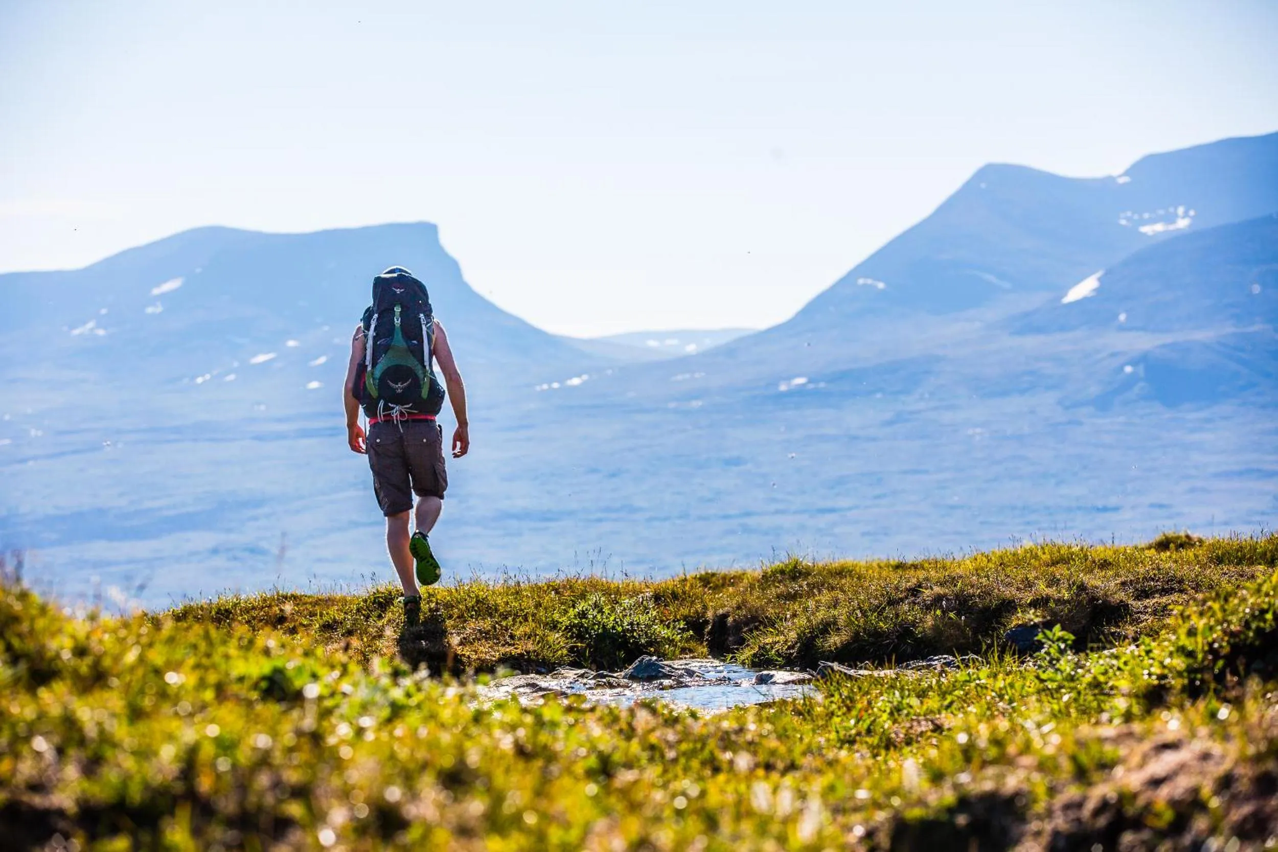 Summer in STF Abisko Turiststation