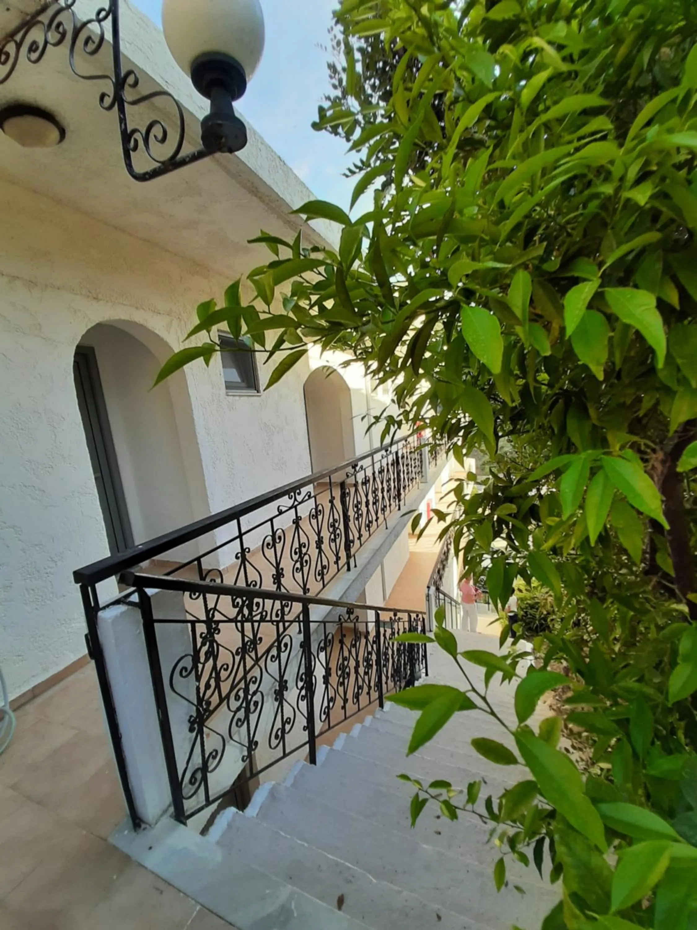 Property building in Ostria