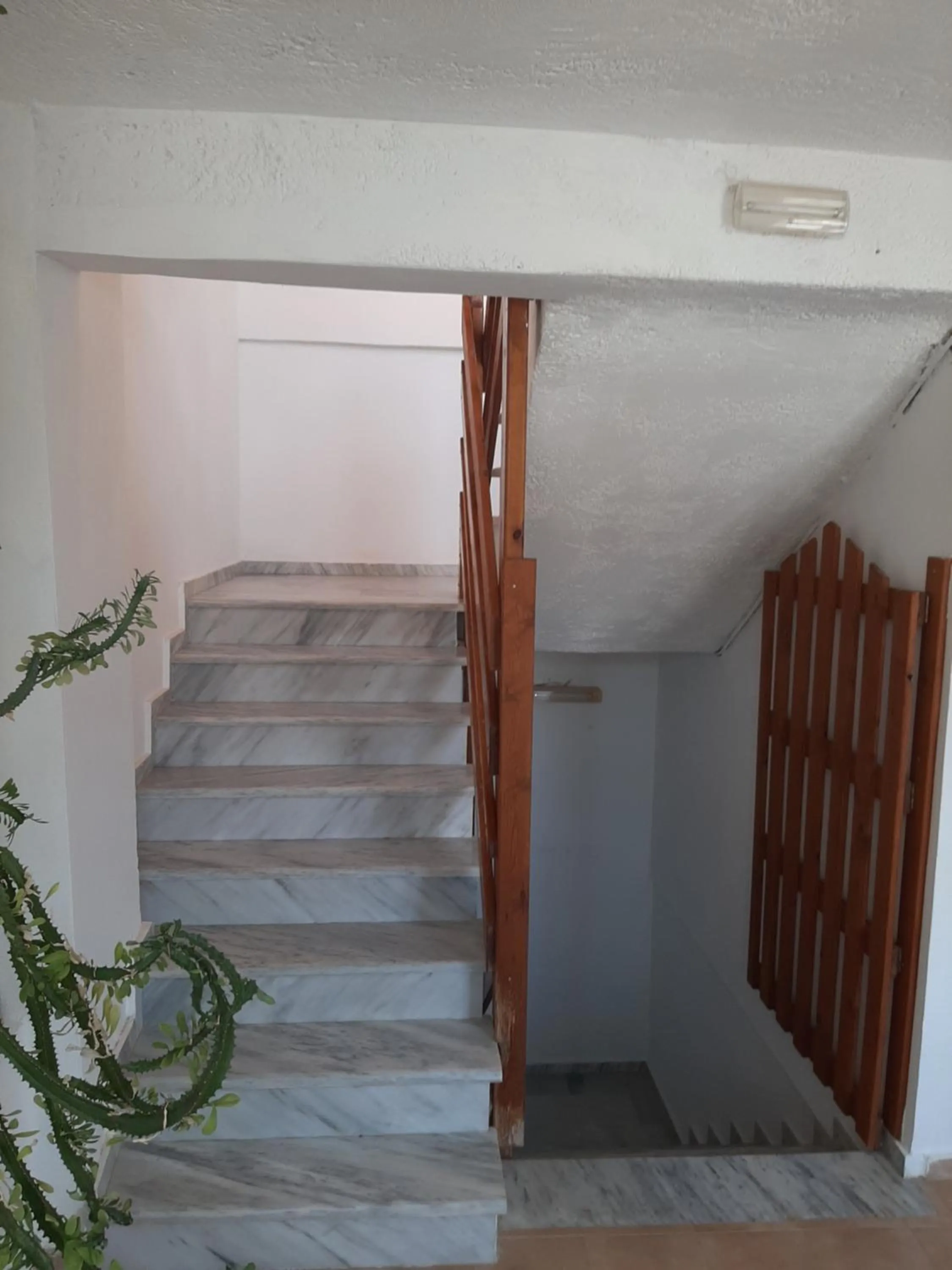 Property building in Ostria