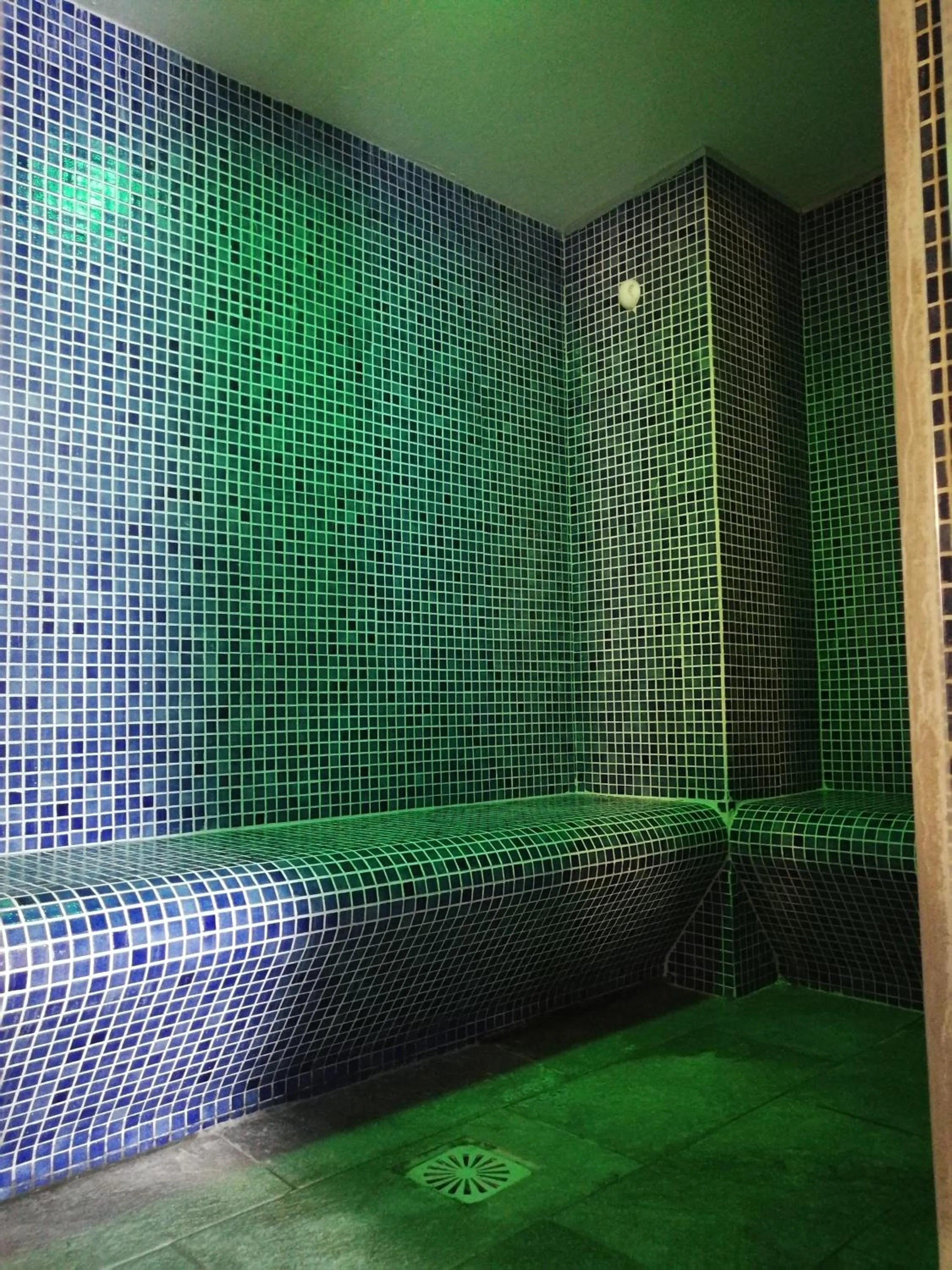 Steam room in Hotel Edelweiss & SPA
