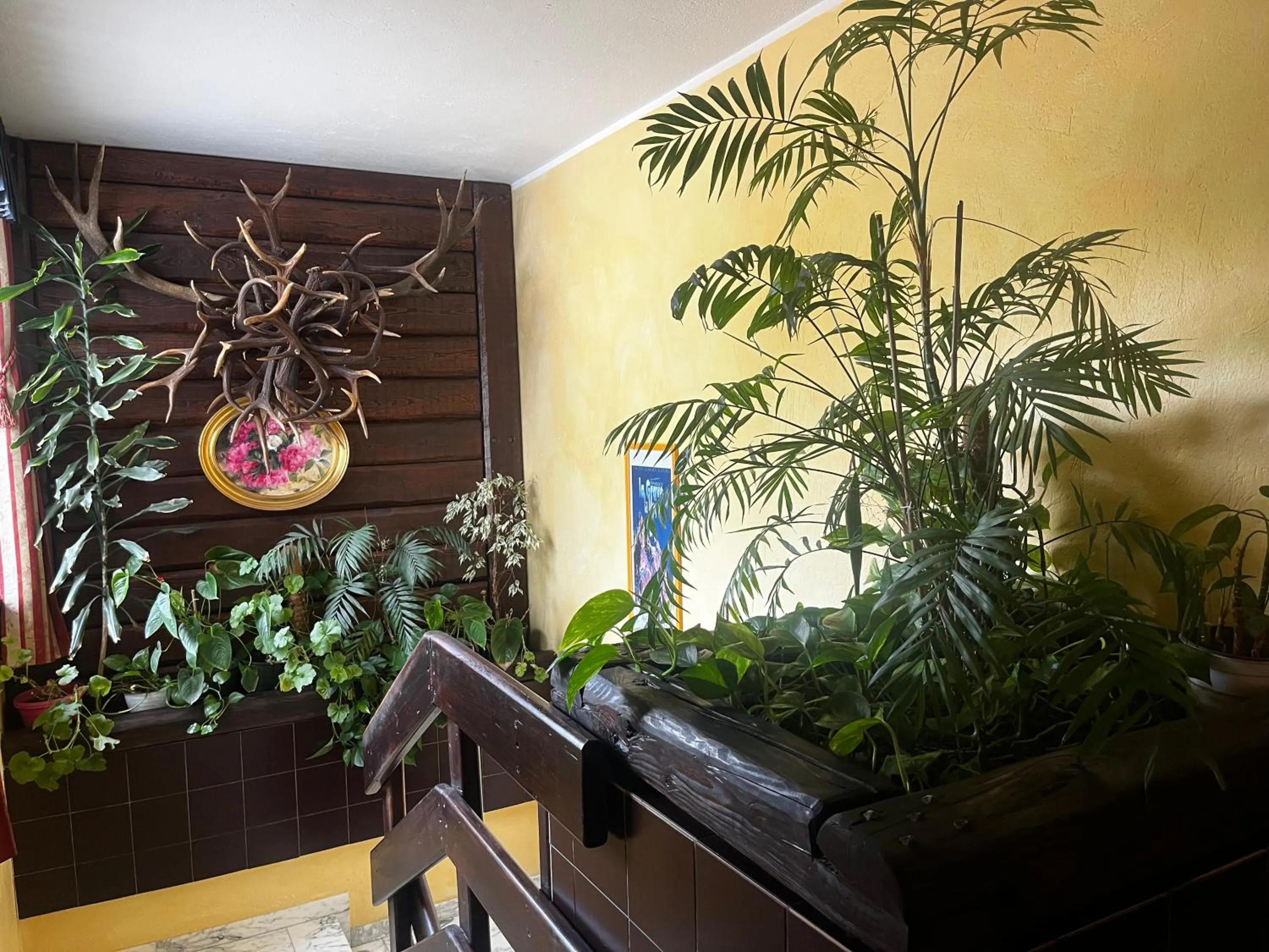 Floor plan in Hotel Edelweiss & SPA