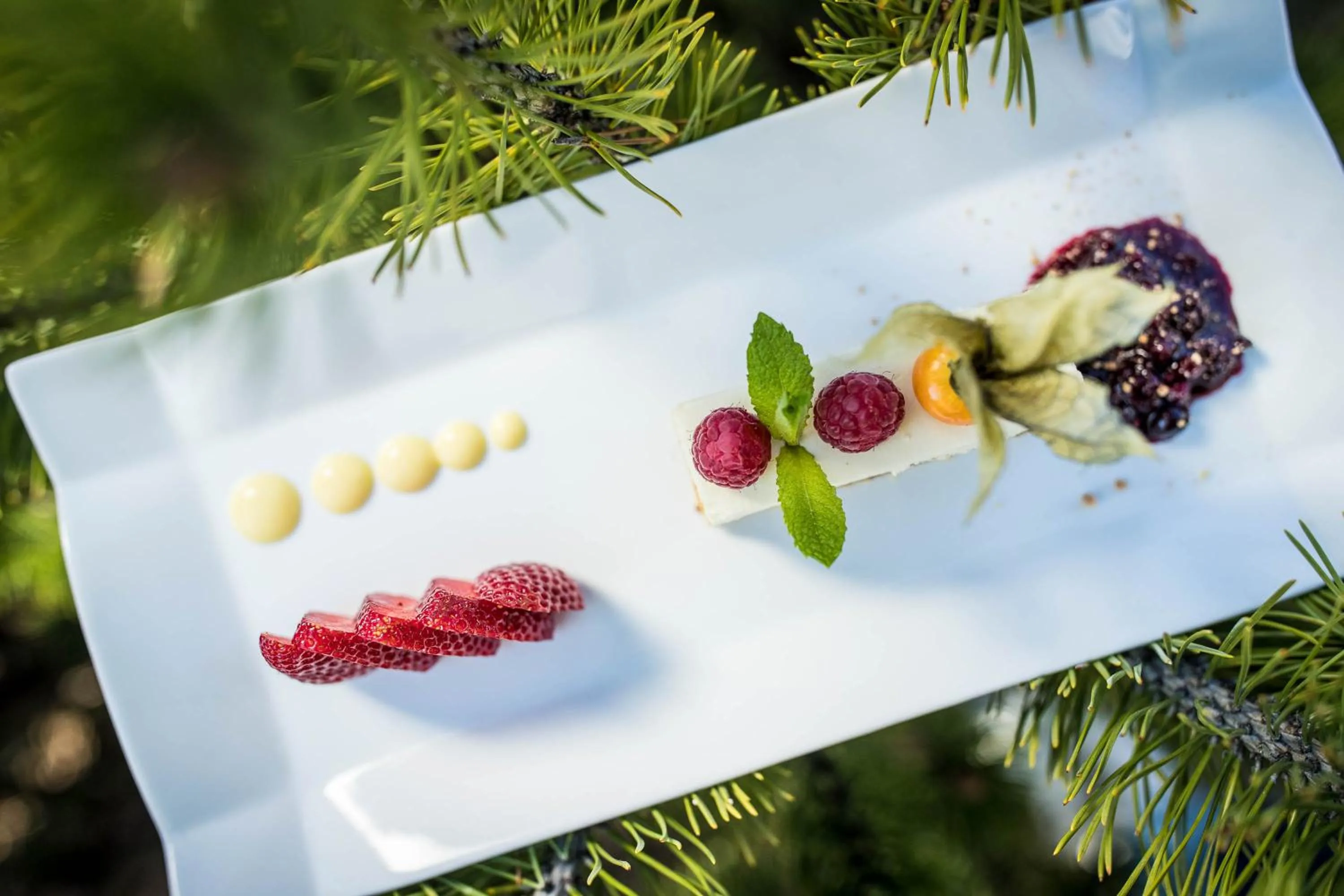 Food close-up in Hotel Martellerhof