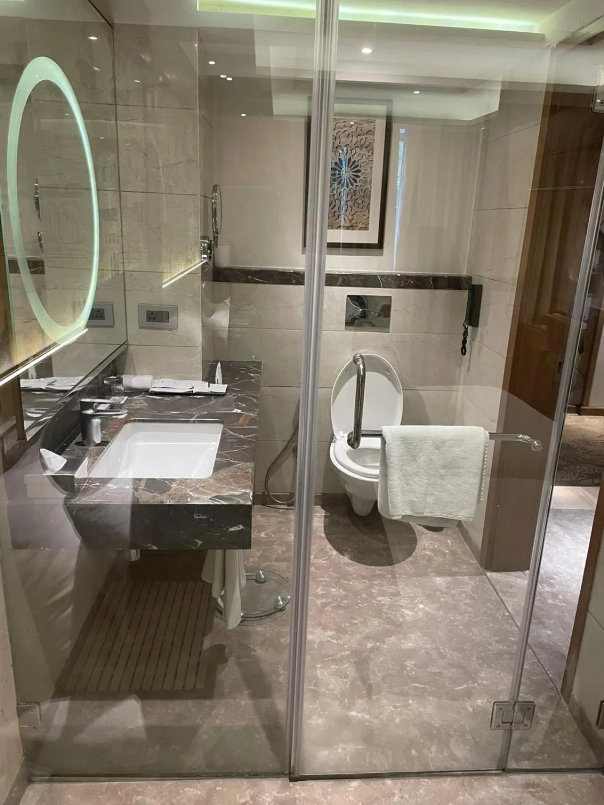 Toilet in Radisson Gwalior