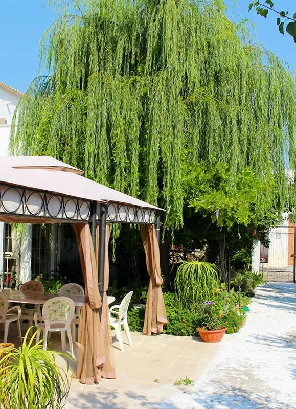 Garden in B&B IreneMarchese Gluten Free