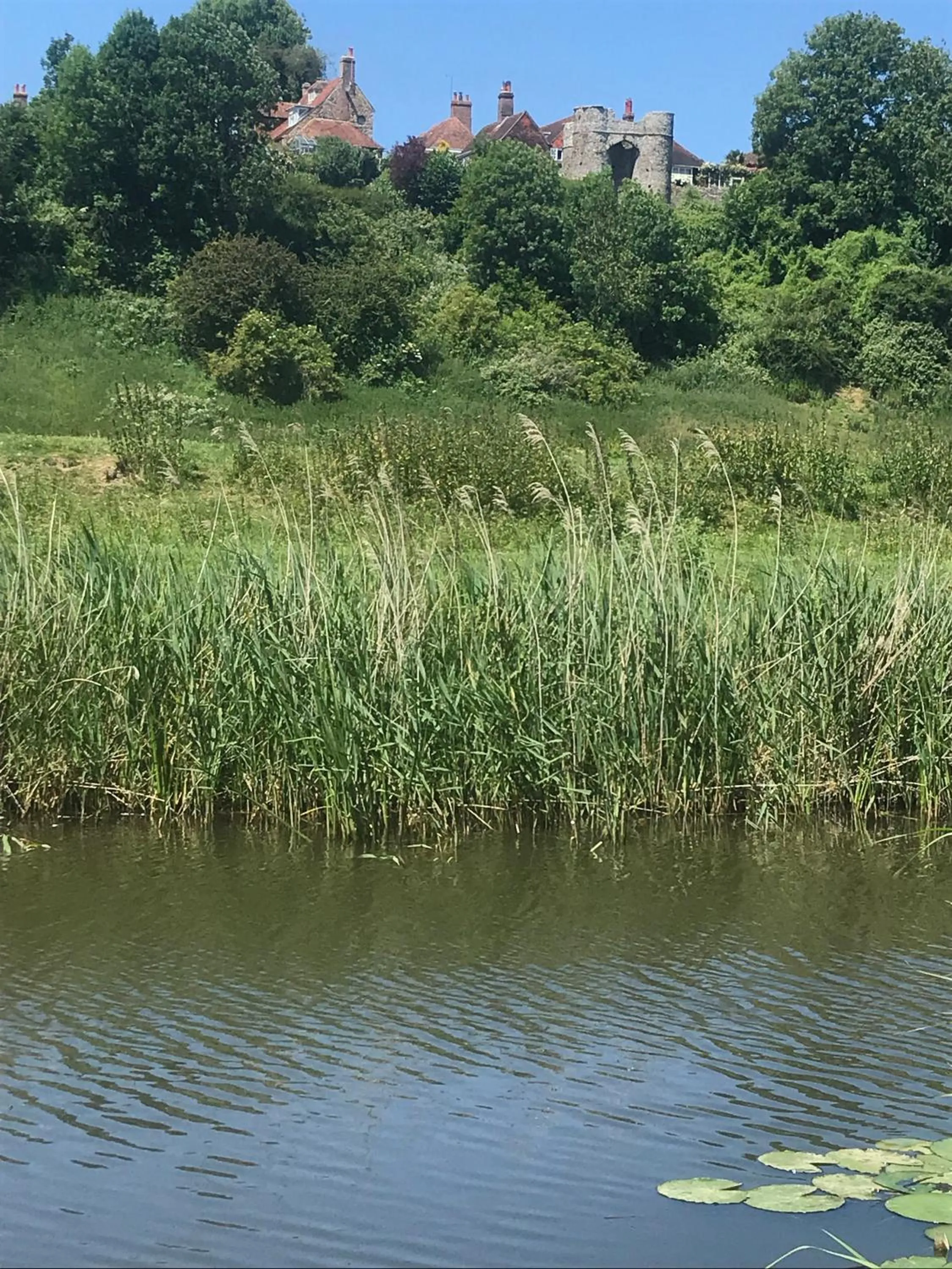 Natural landscape in The Tea House
