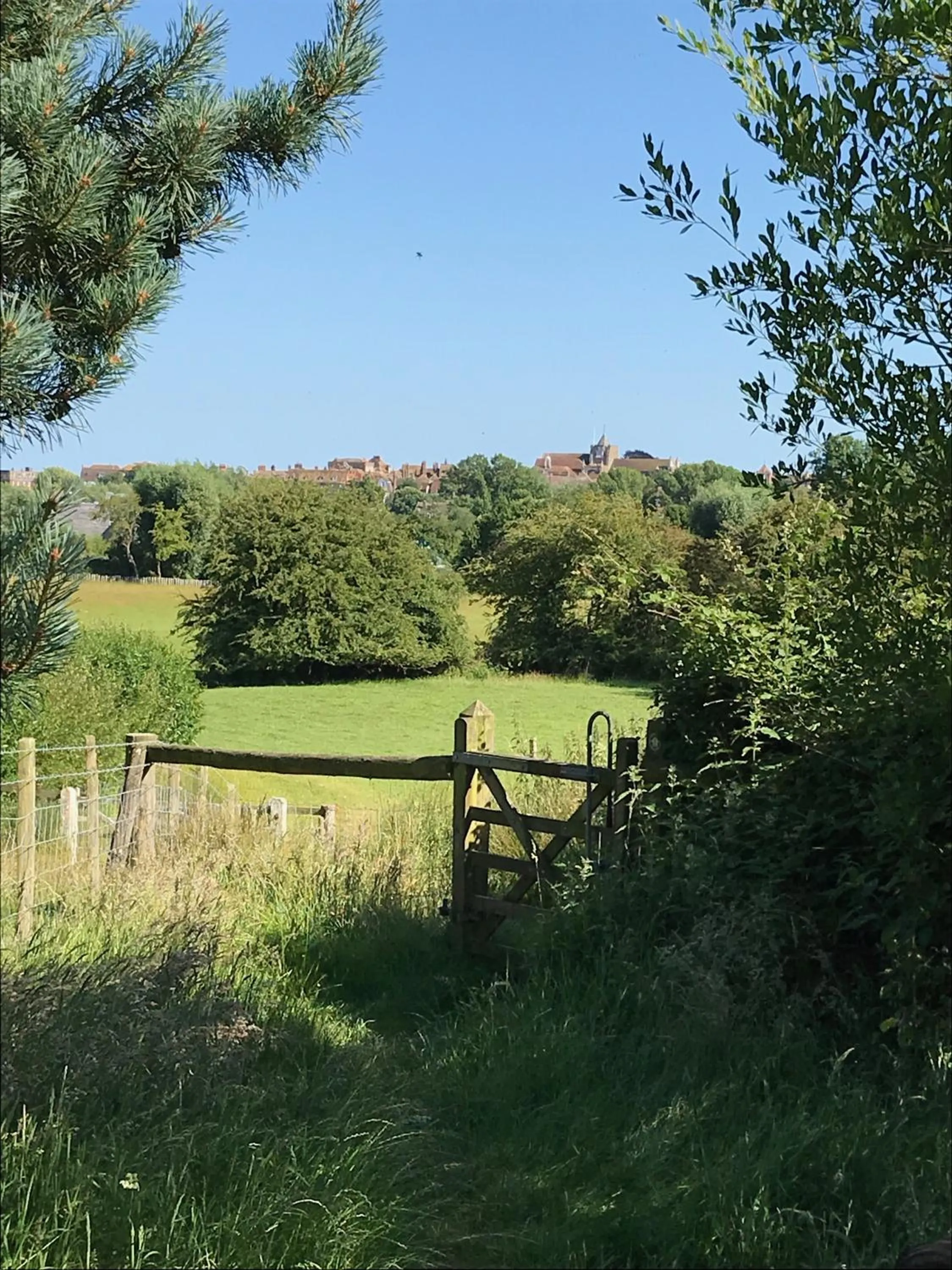 Natural landscape in The Tea House