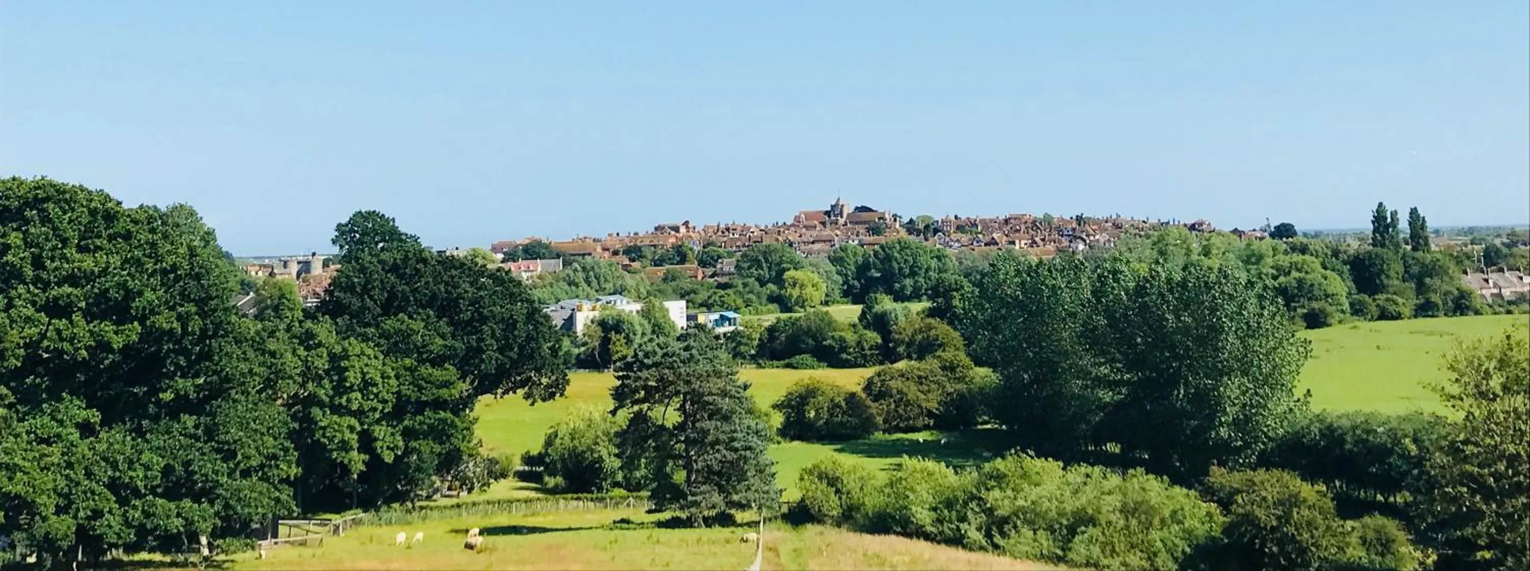 Neighbourhood in The Tea House