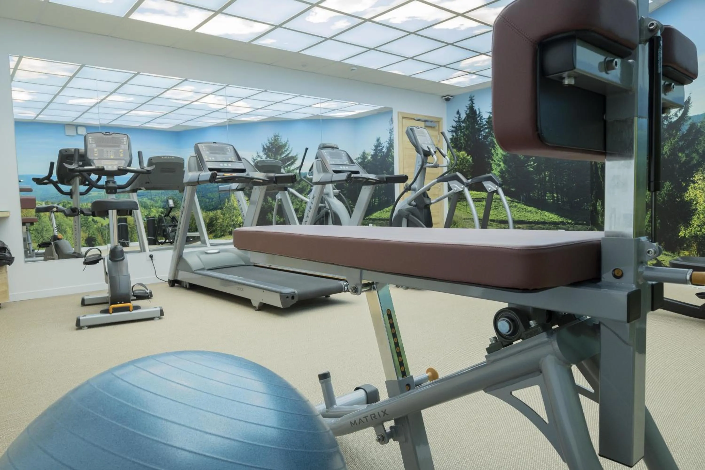 Fitness centre/facilities in Hotel Restaurant Mont Champ du Feu