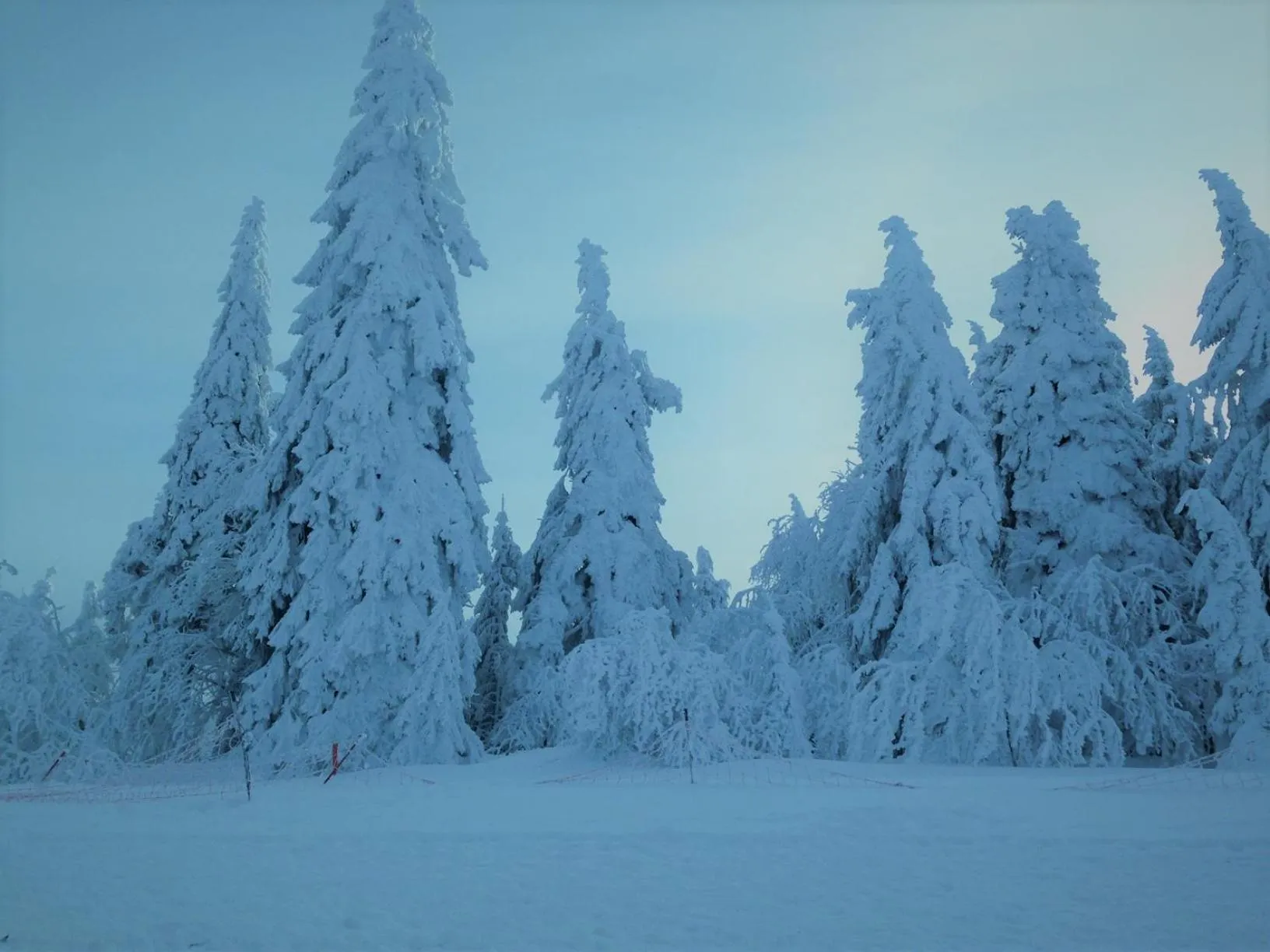 Winter in Hotel Restaurant Mont Champ du Feu