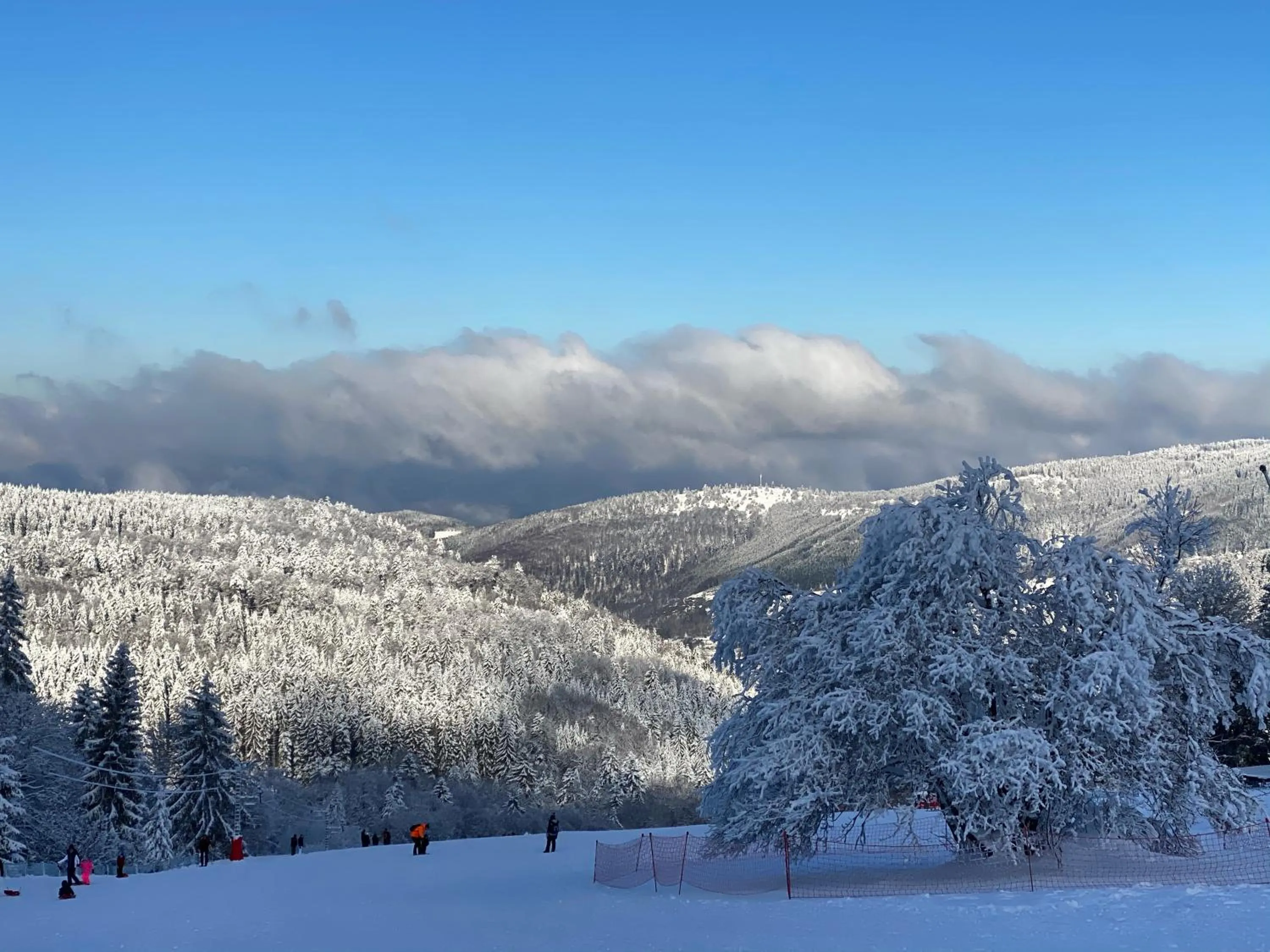 Winter in Hotel Restaurant Mont Champ du Feu