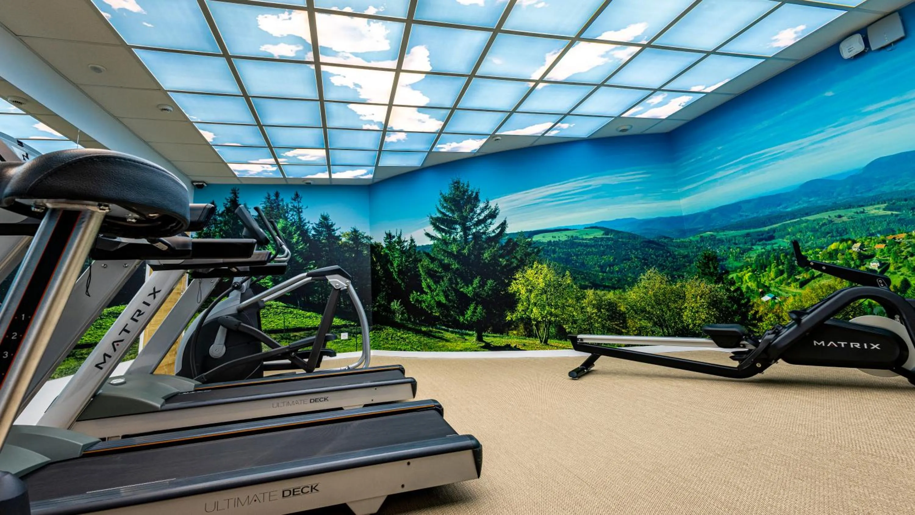 Fitness centre/facilities in Hotel Restaurant Mont Champ du Feu