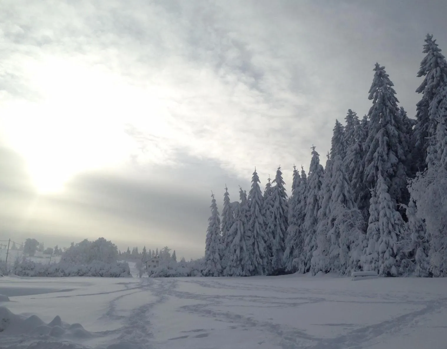 Winter in Hotel Restaurant Mont Champ du Feu