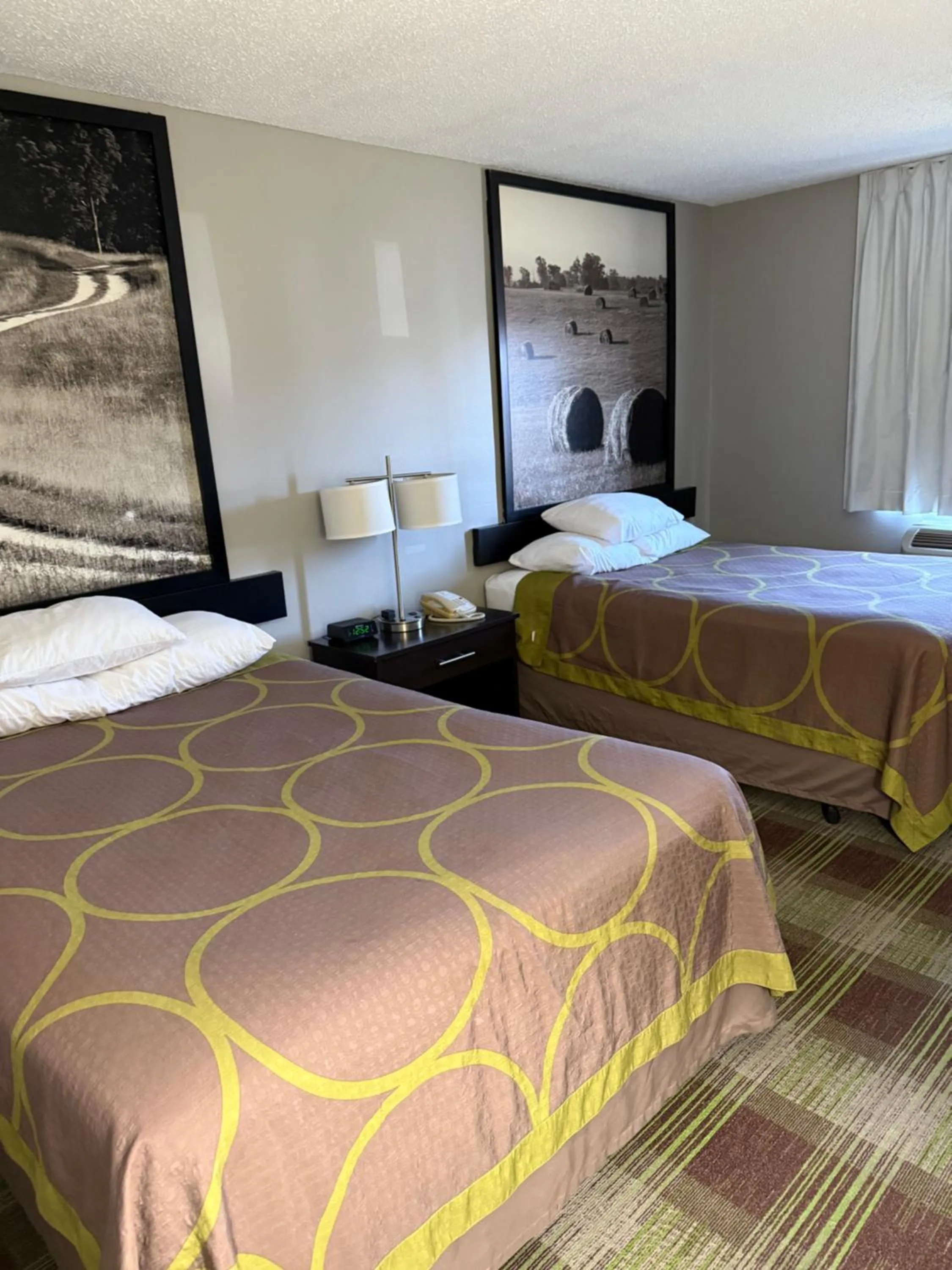 Bed in Super 8 by Wyndham Campbellsville KY