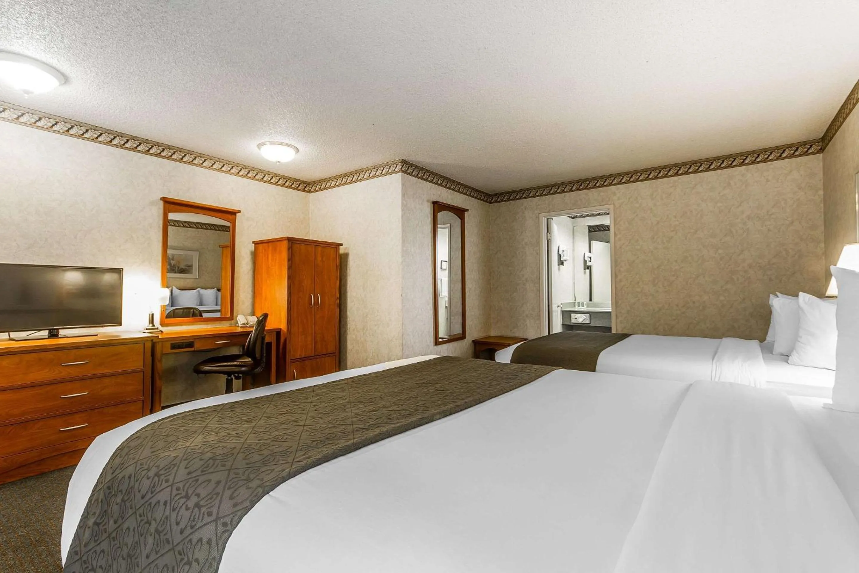 Photo of the whole room, Bed in Quality Inn & Suites Silicon Valley