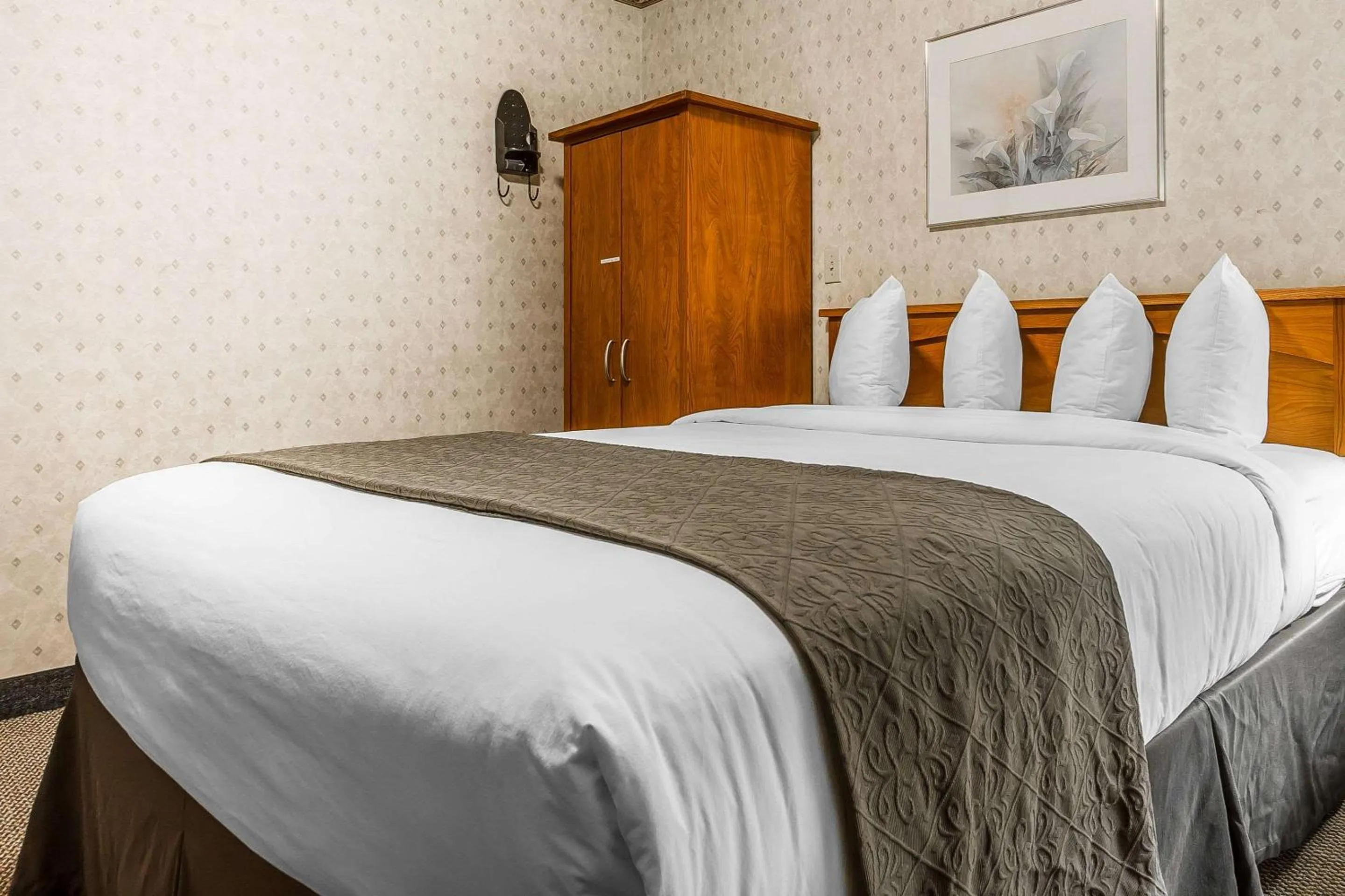 Photo of the whole room, Bed in Quality Inn & Suites Silicon Valley