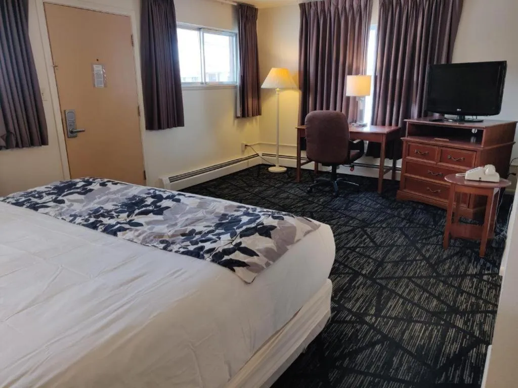 Bed in Skyline Motor Inn